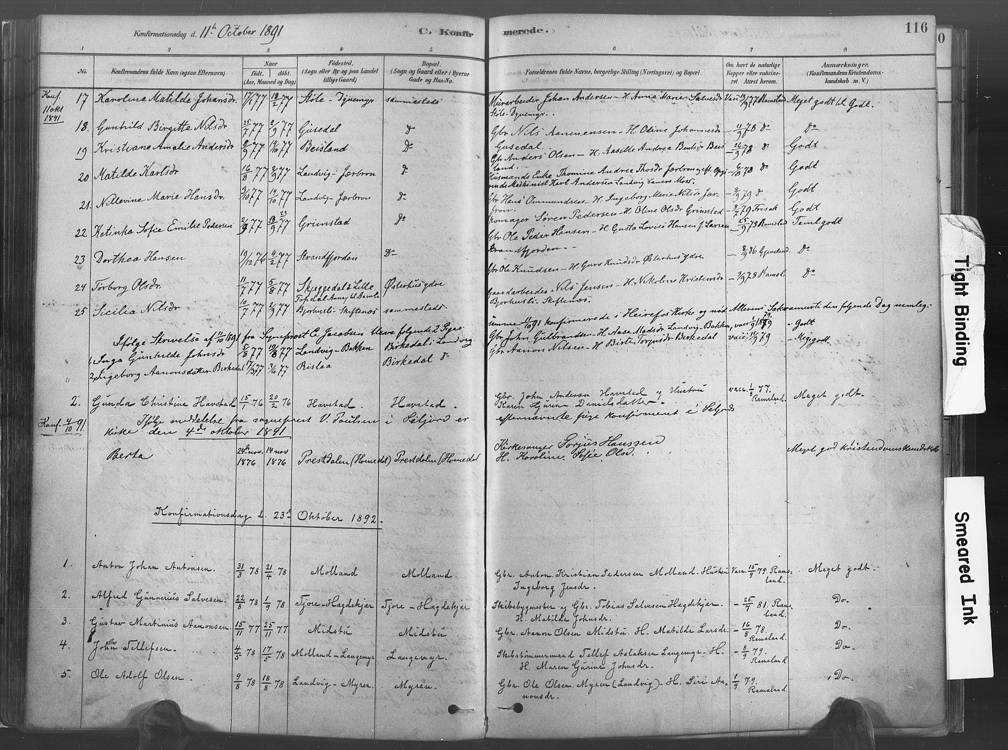 Hommedal sokneprestkontor, AV/SAK-1111-0023/F/Fa/Fab/L0006: Parish register (official) no. A 6, 1878-1897, p. 116