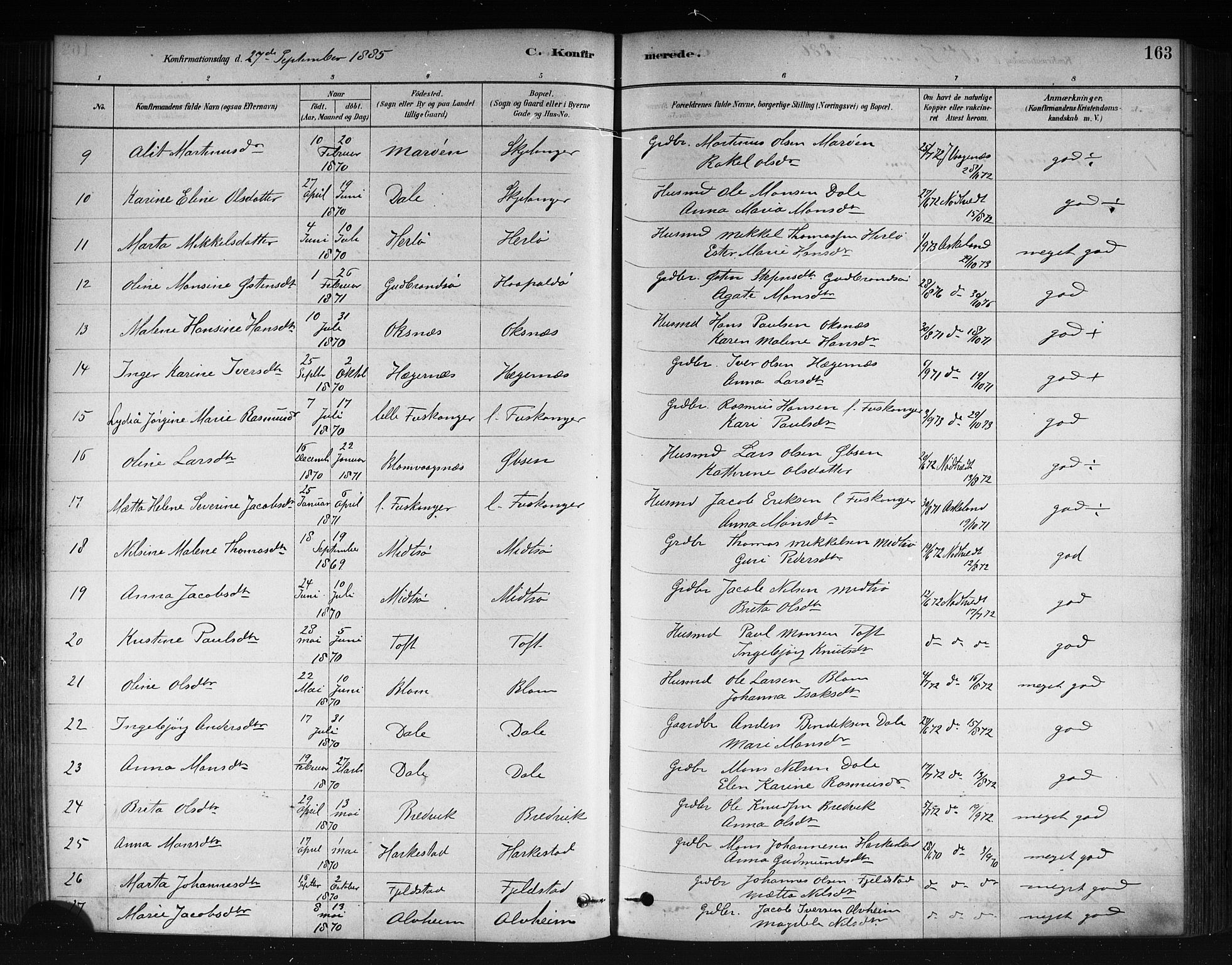 Herdla Sokneprestembete, AV/SAB-A-75701/H/Haa: Parish register (official) no. A 3, 1878-1890, p. 163