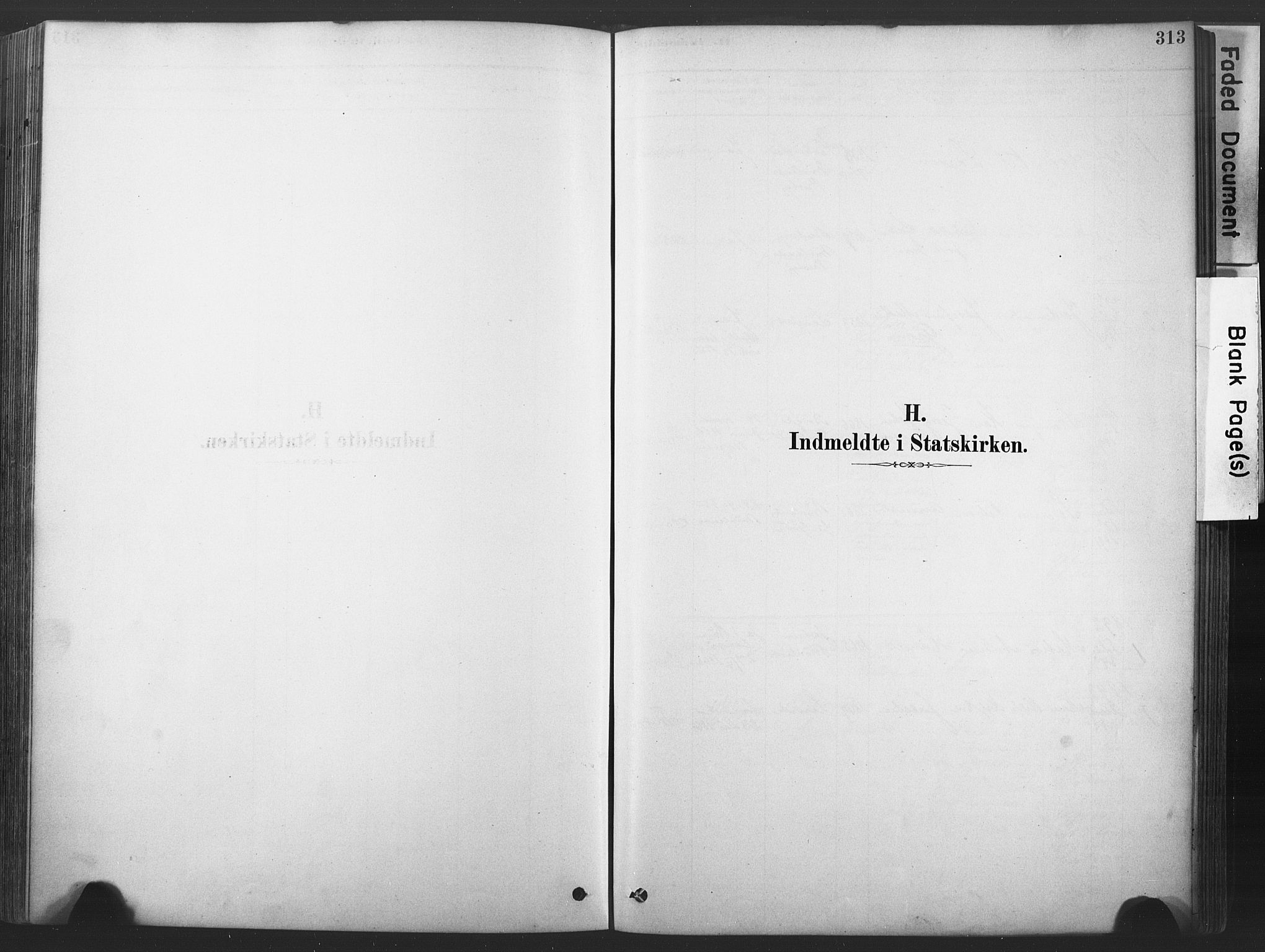 Stavern kirkebøker, SAKO/A-318/F/Fa/L0008: Parish register (official) no. 8, 1878-1905, p. 313