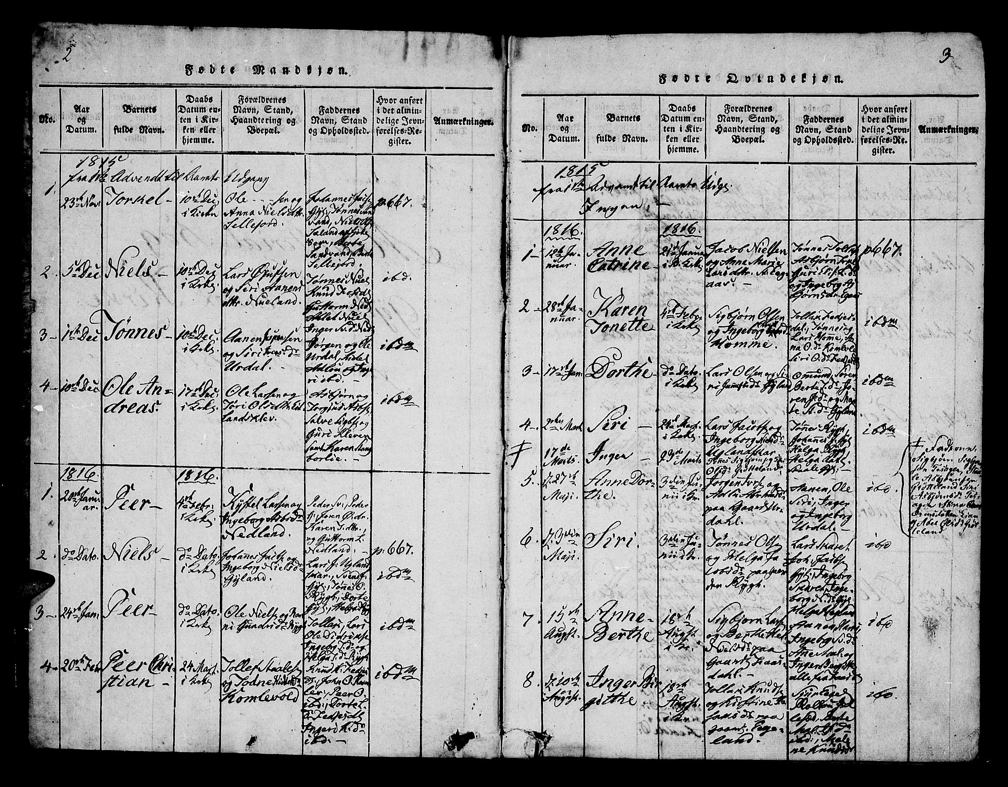 Bakke sokneprestkontor, SAK/1111-0002/F/Fa/Fab/L0001: Parish register (official) no. A 1, 1815-1835, p. 2-3