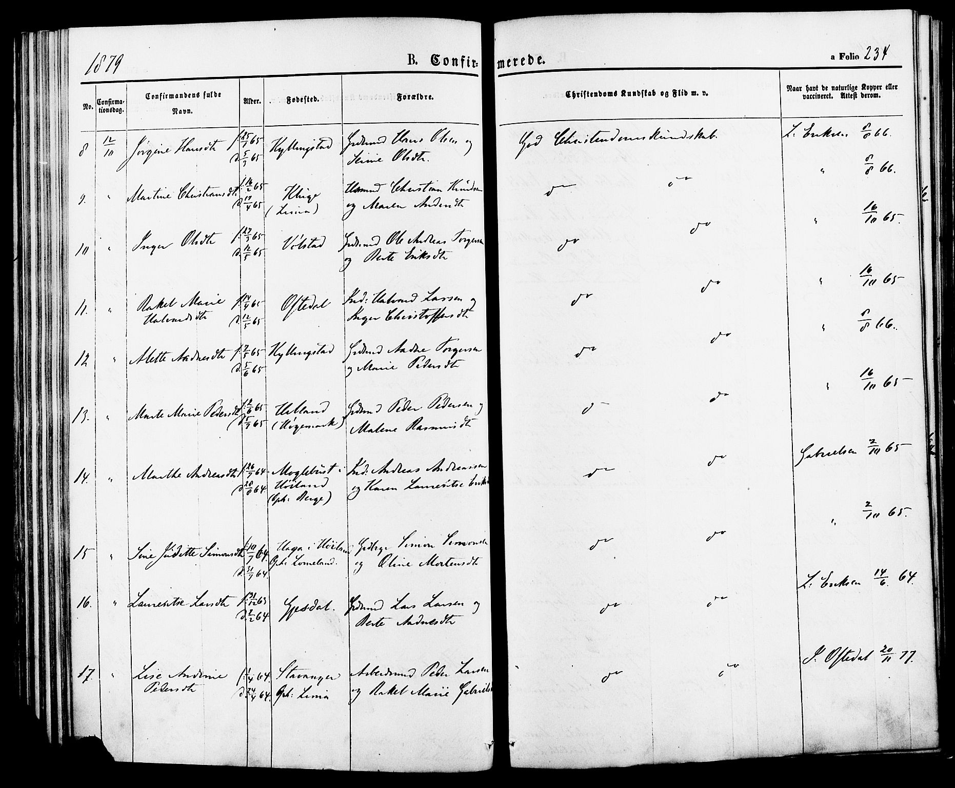 Lye sokneprestkontor, AV/SAST-A-101794/001/30BA/L0008: Parish register (official) no. A 7, 1872-1881, p. 234