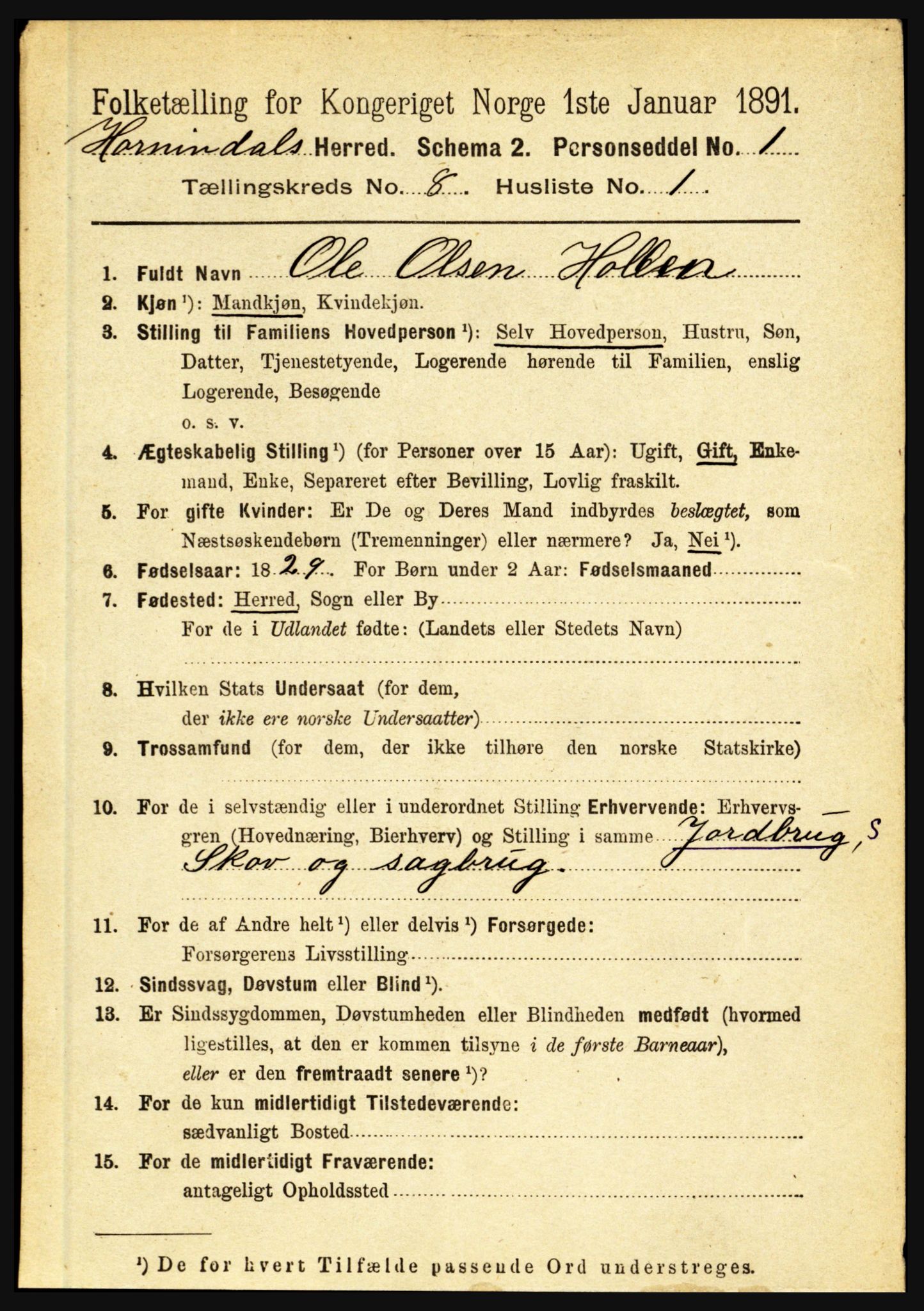 RA, 1891 census for 1444 Hornindal, 1891, p. 1896