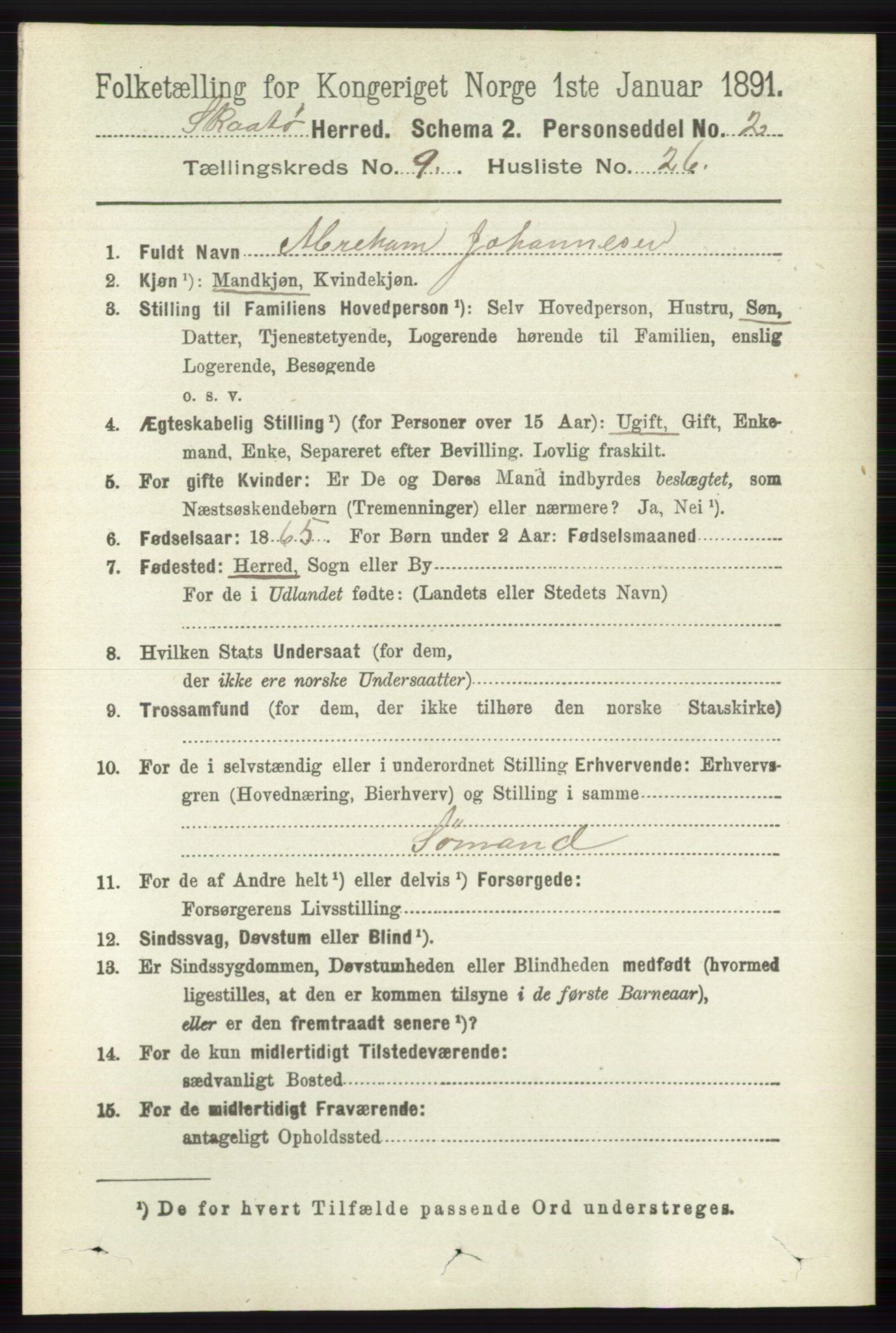 RA, 1891 census for 0815 Skåtøy, 1891, p. 4003