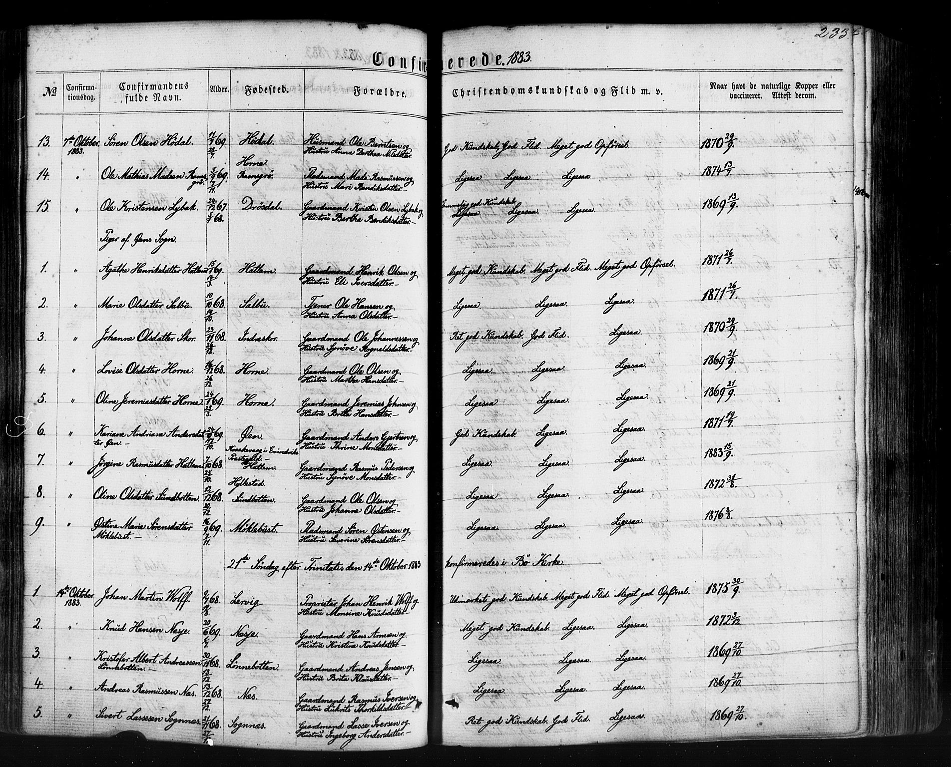 Hyllestad sokneprestembete, SAB/A-80401: Parish register (official) no. A 1, 1861-1886, p. 233