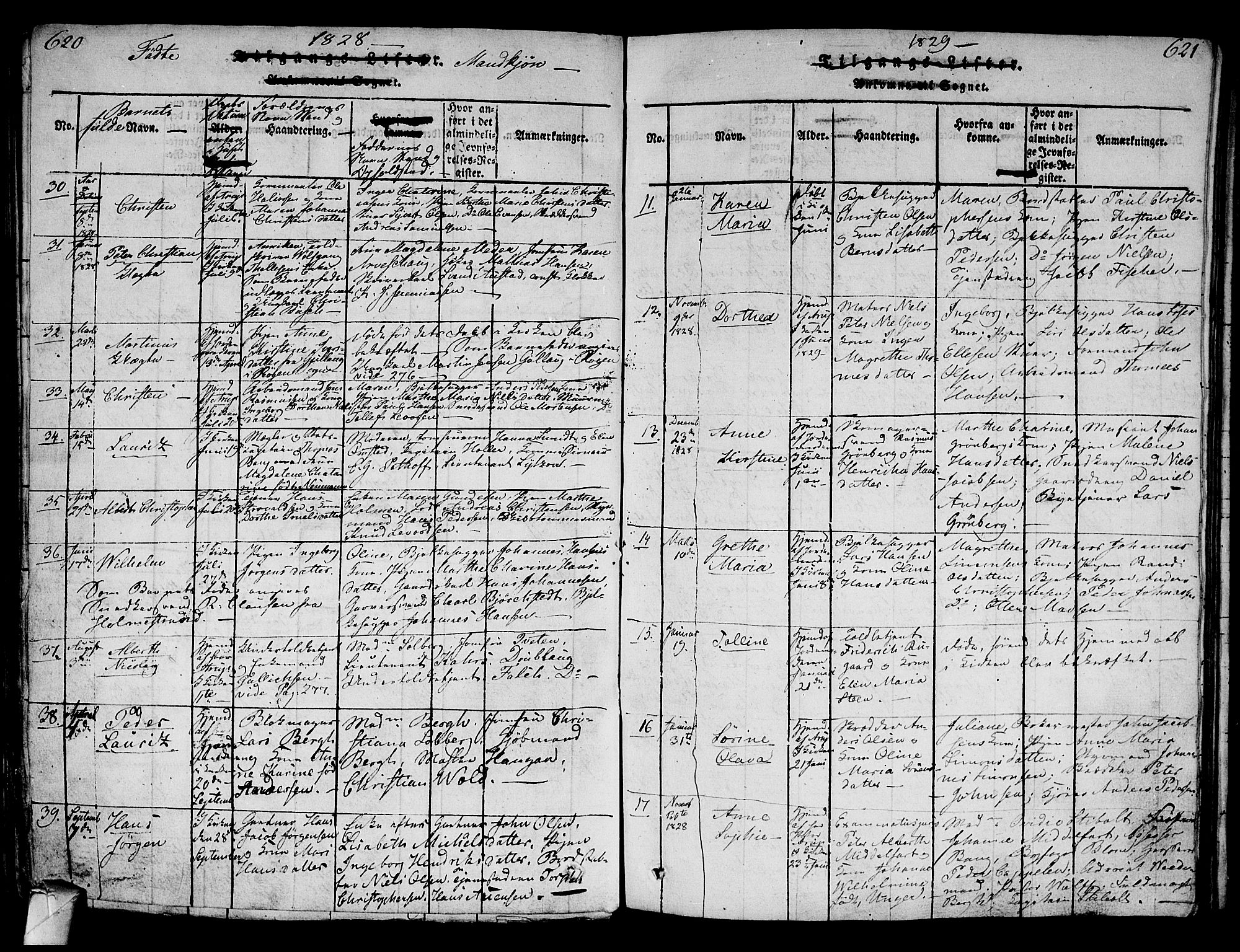 Strømsø kirkebøker, SAKO/A-246/G/Ga/L0001: Parish register (copy) no. 1, 1815-1829, p. 620-621