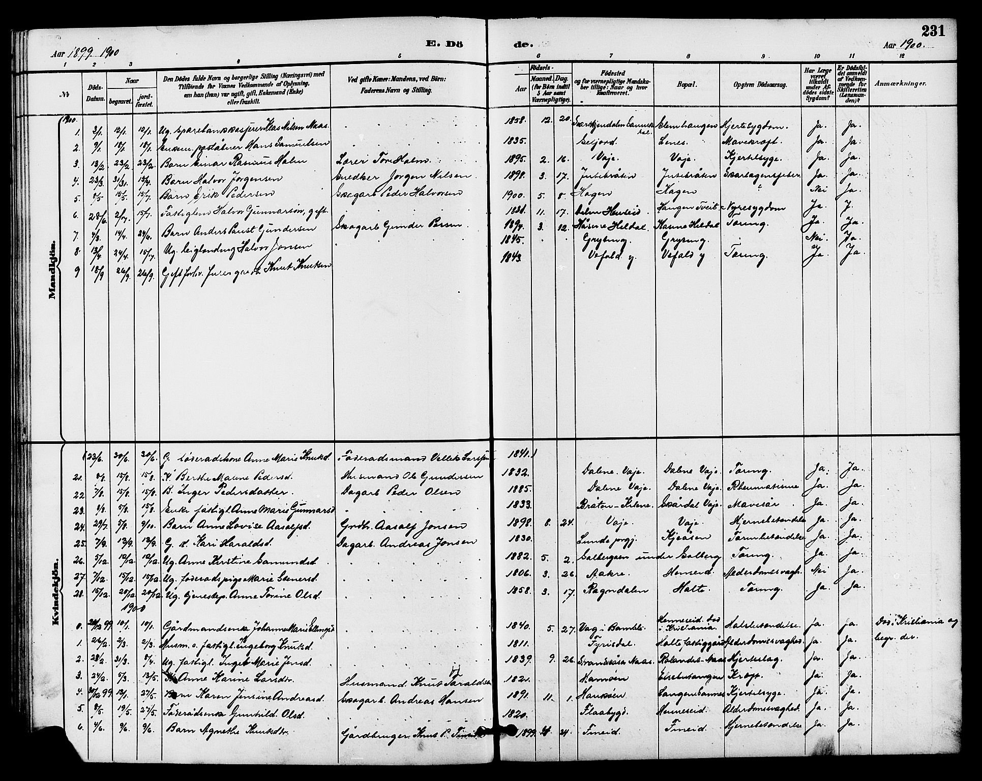 Drangedal kirkebøker, SAKO/A-258/G/Ga/L0003: Parish register (copy) no. I 3, 1887-1906, p. 231