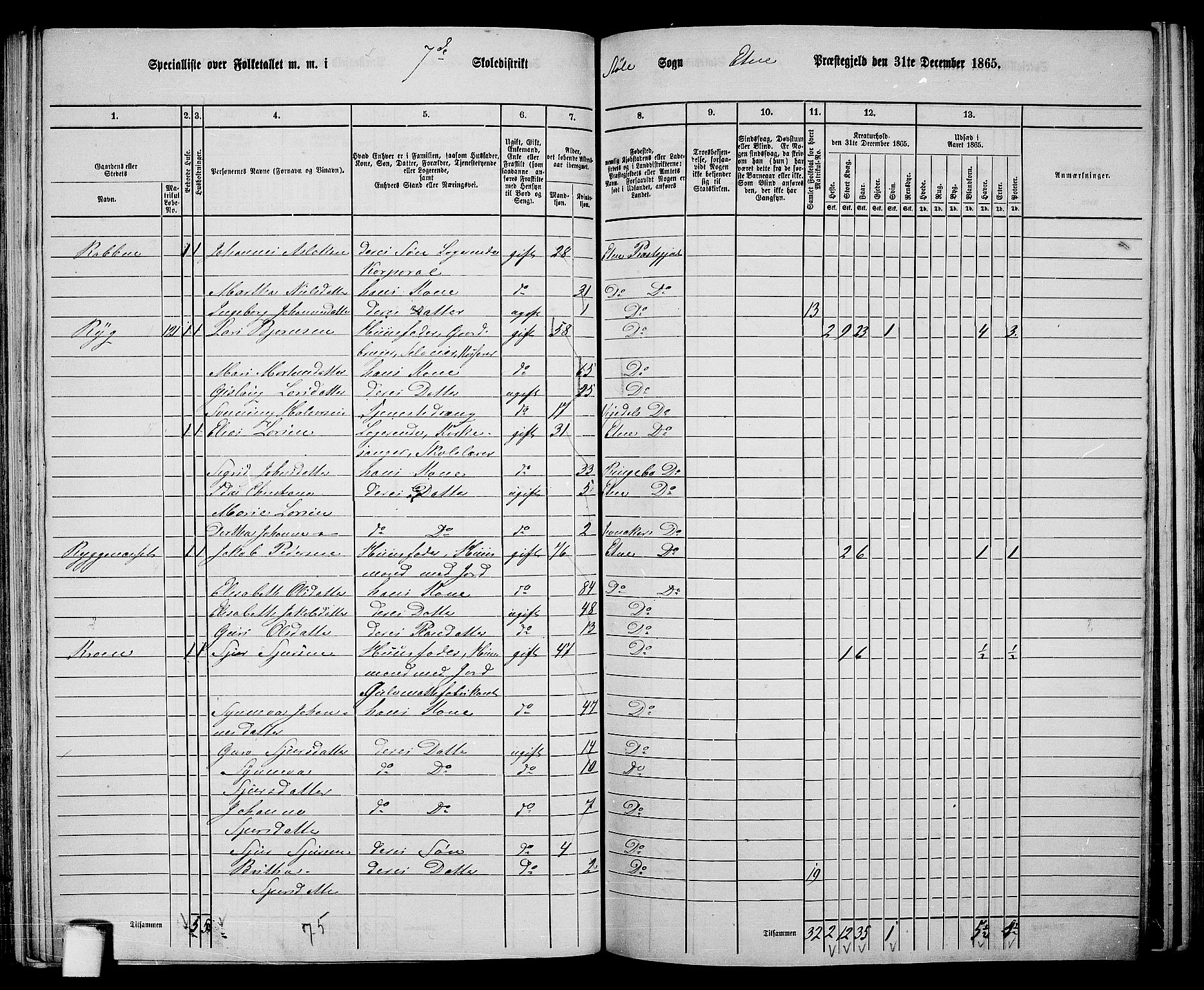 RA, 1865 census for Etne, 1865, p. 104
