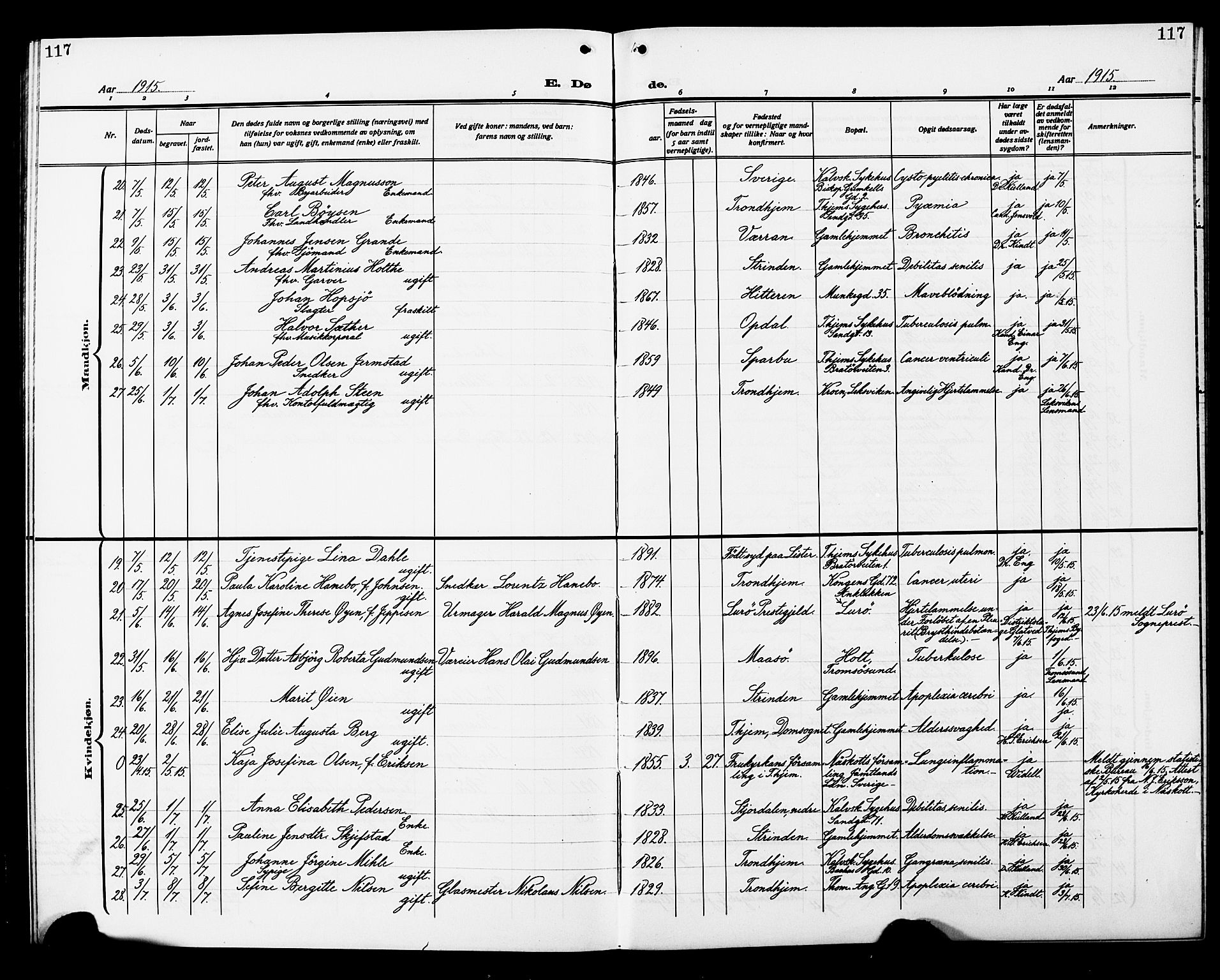 Ministerialprotokoller, klokkerbøker og fødselsregistre - Sør-Trøndelag, AV/SAT-A-1456/602/L0147: Parish register (copy) no. 602C15, 1911-1924, p. 117