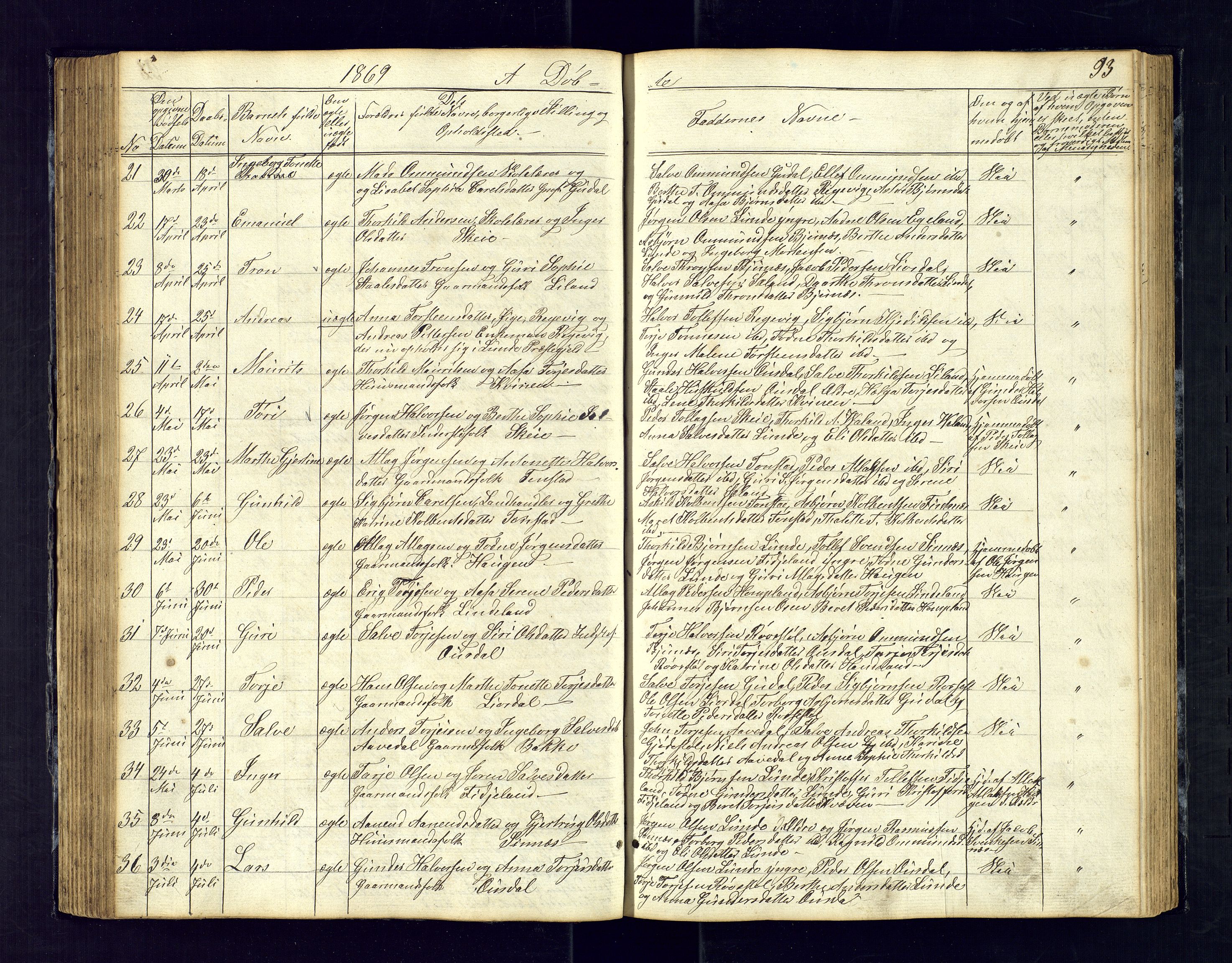 Sirdal sokneprestkontor, AV/SAK-1111-0036/F/Fb/Fbb/L0002: Parish register (copy) no. B-2, 1848-1878, p. 93