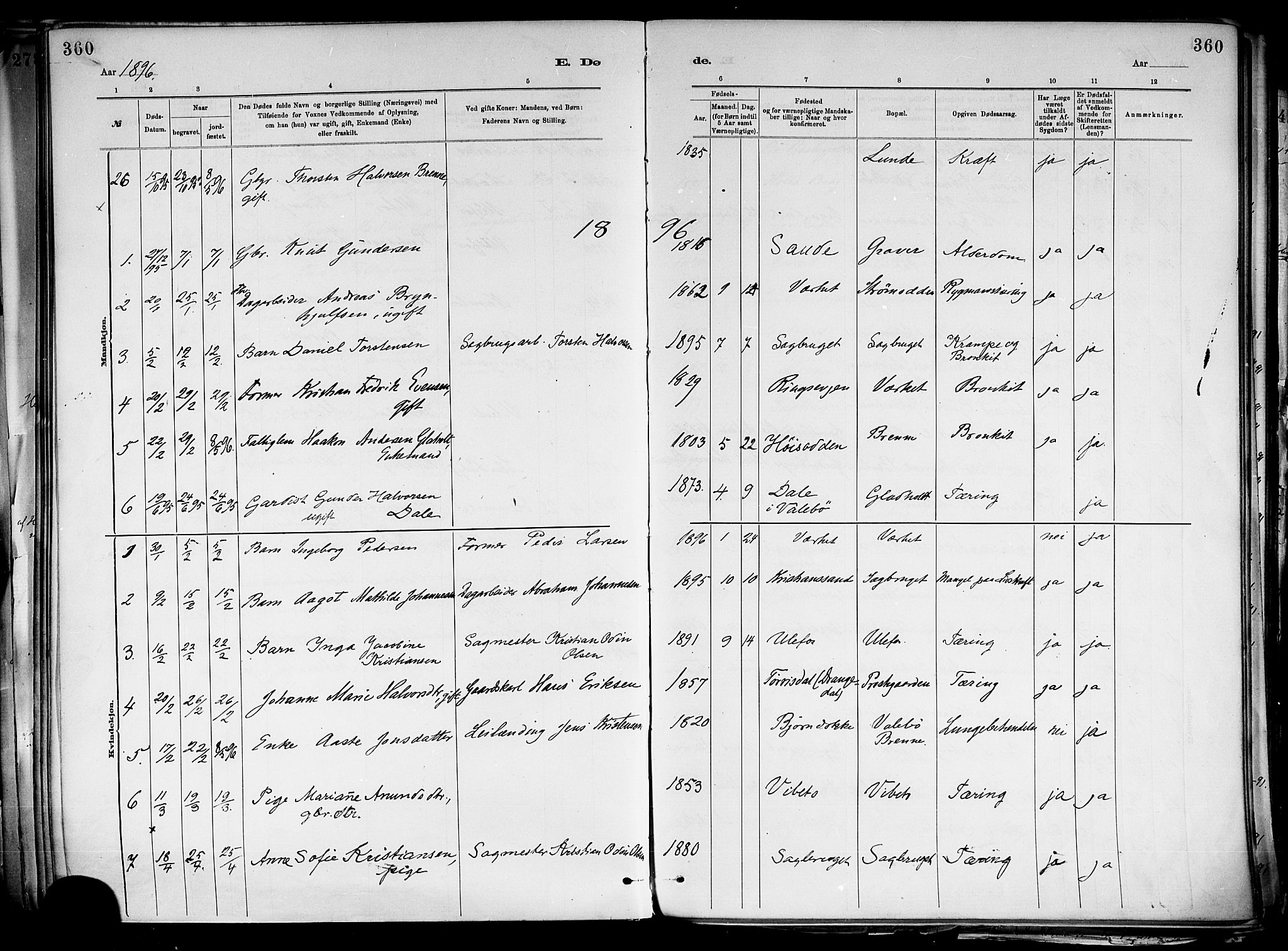 Holla kirkebøker, AV/SAKO-A-272/F/Fa/L0008: Parish register (official) no. 8, 1882-1897, p. 360