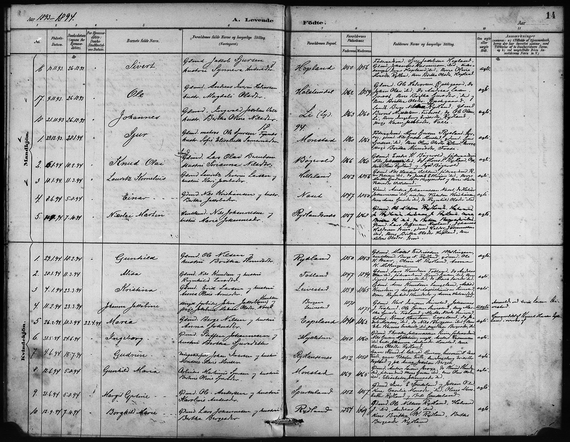 Alversund Sokneprestembete, AV/SAB-A-73901/H/Ha/Haa/Haad/L0002: Parish register (official) no. D 2, 1890-1897, p. 14