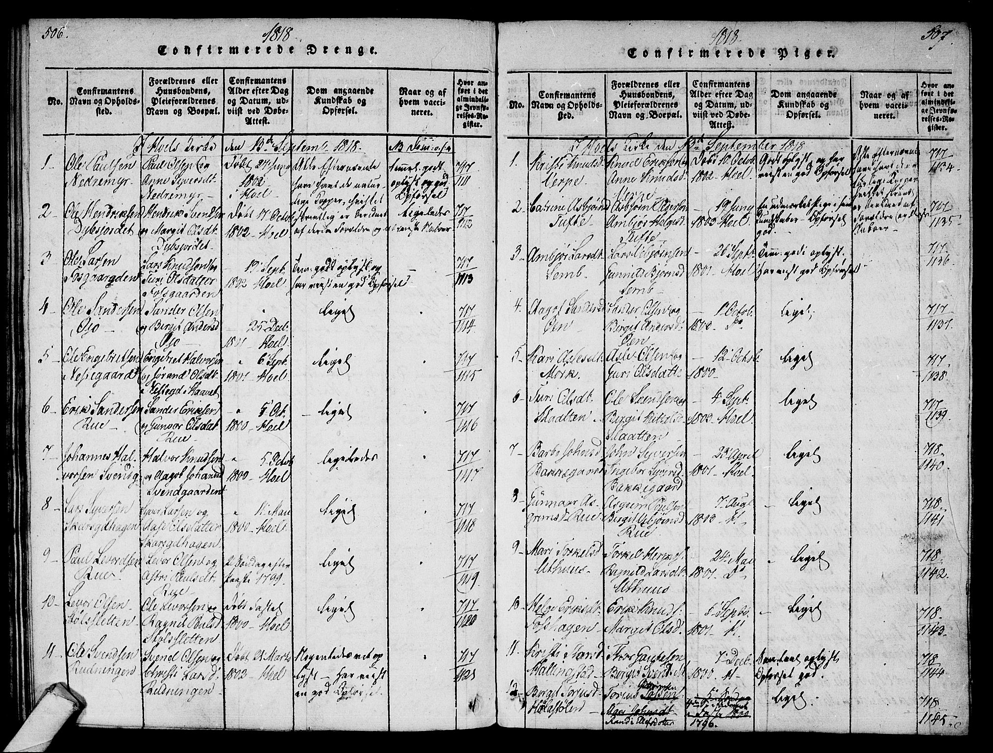 Ål kirkebøker, SAKO/A-249/F/Fa/L0004: Parish register (official) no. I 4, 1815-1825, p. 506-507