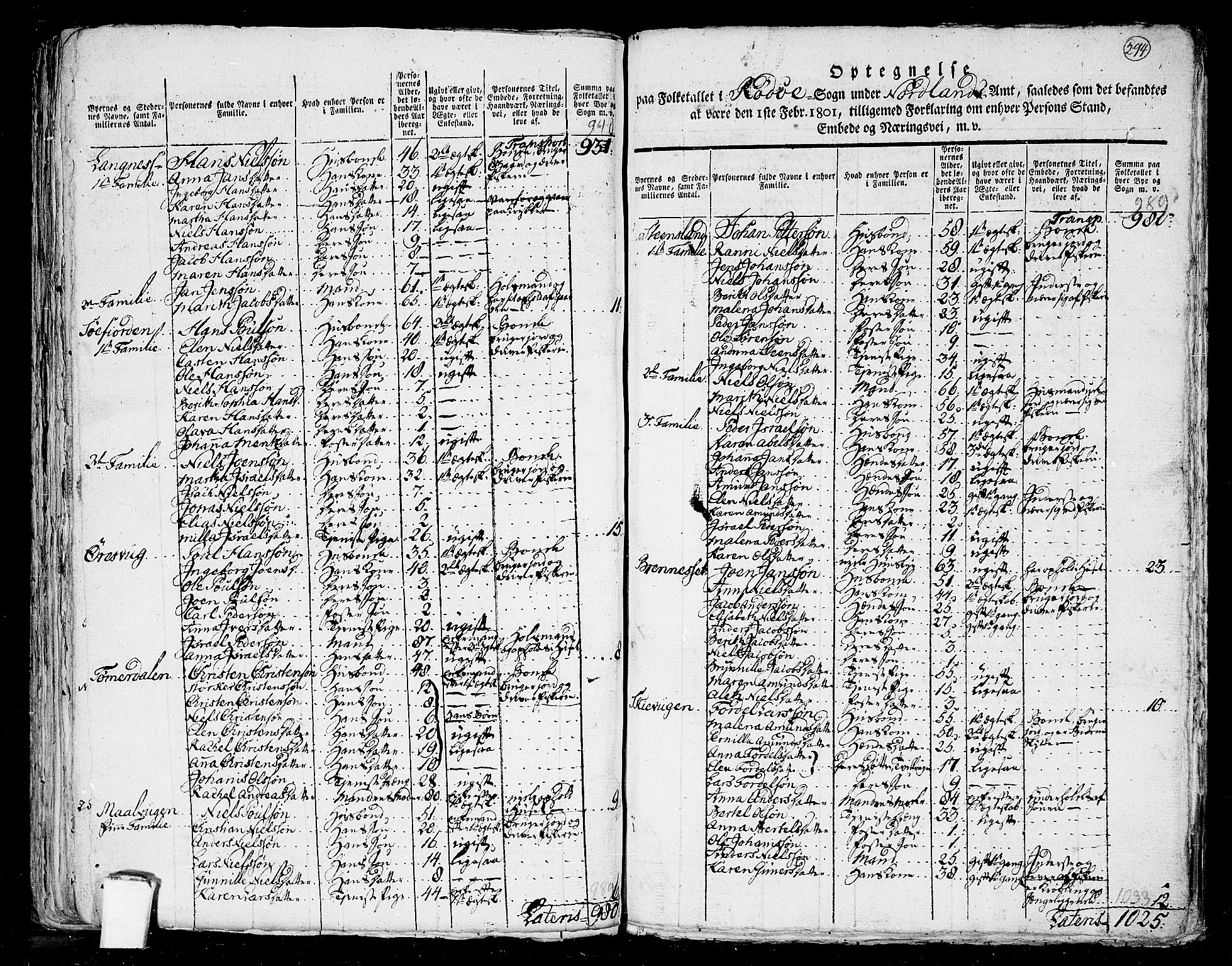 RA, 1801 census for 1836P Rødøy, 1801, p. 293b-294a