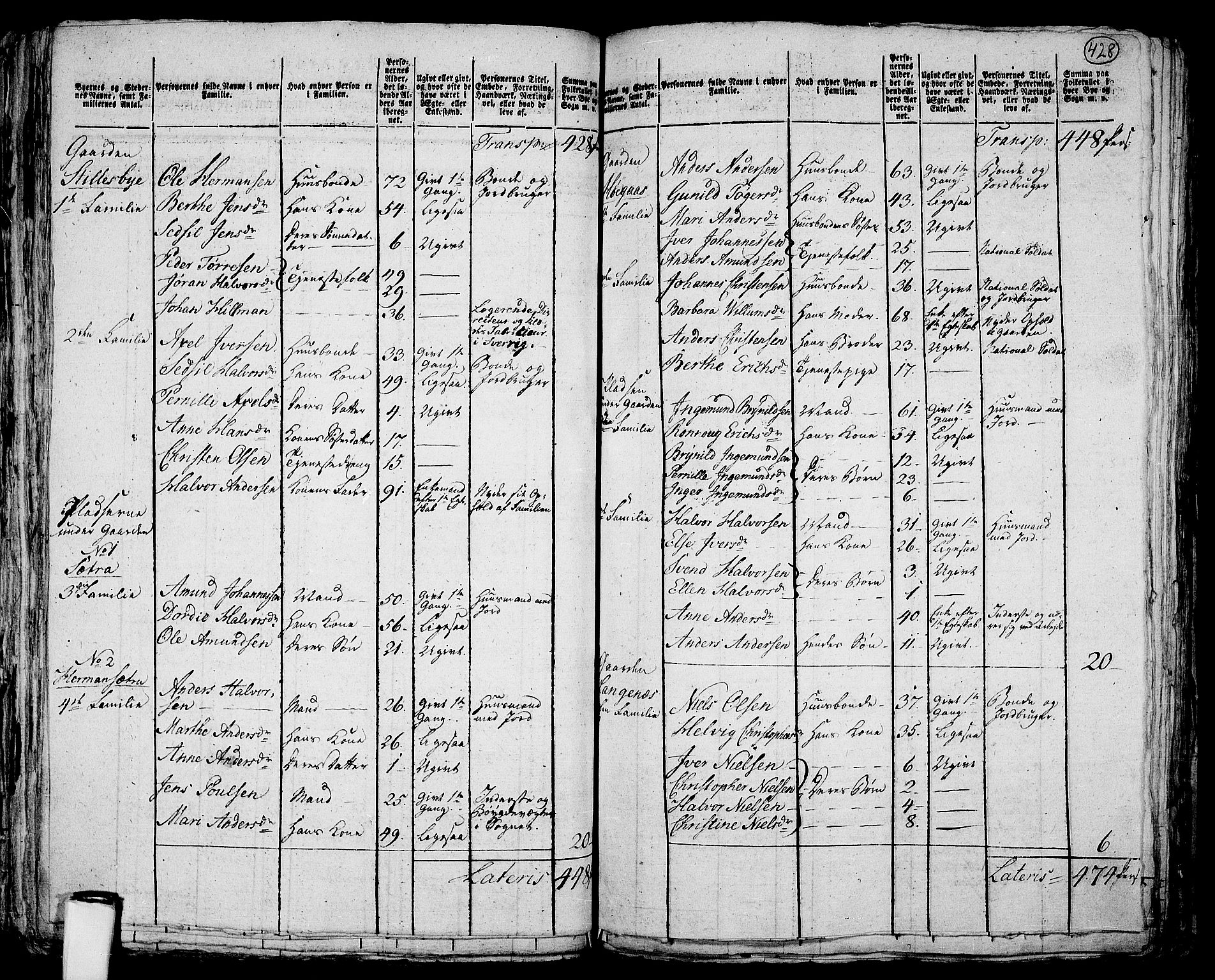 RA, 1801 census for 0120P Rødenes, 1801, p. 427b-428a