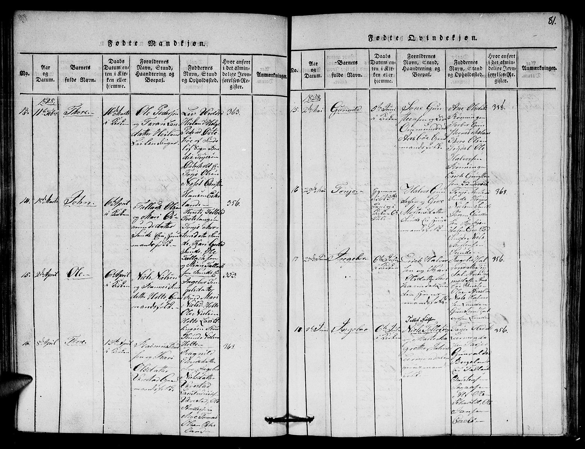 Gjerstad sokneprestkontor, SAK/1111-0014/F/Fa/Faa/L0004: Parish register (official) no. A 4, 1816-1829, p. 81