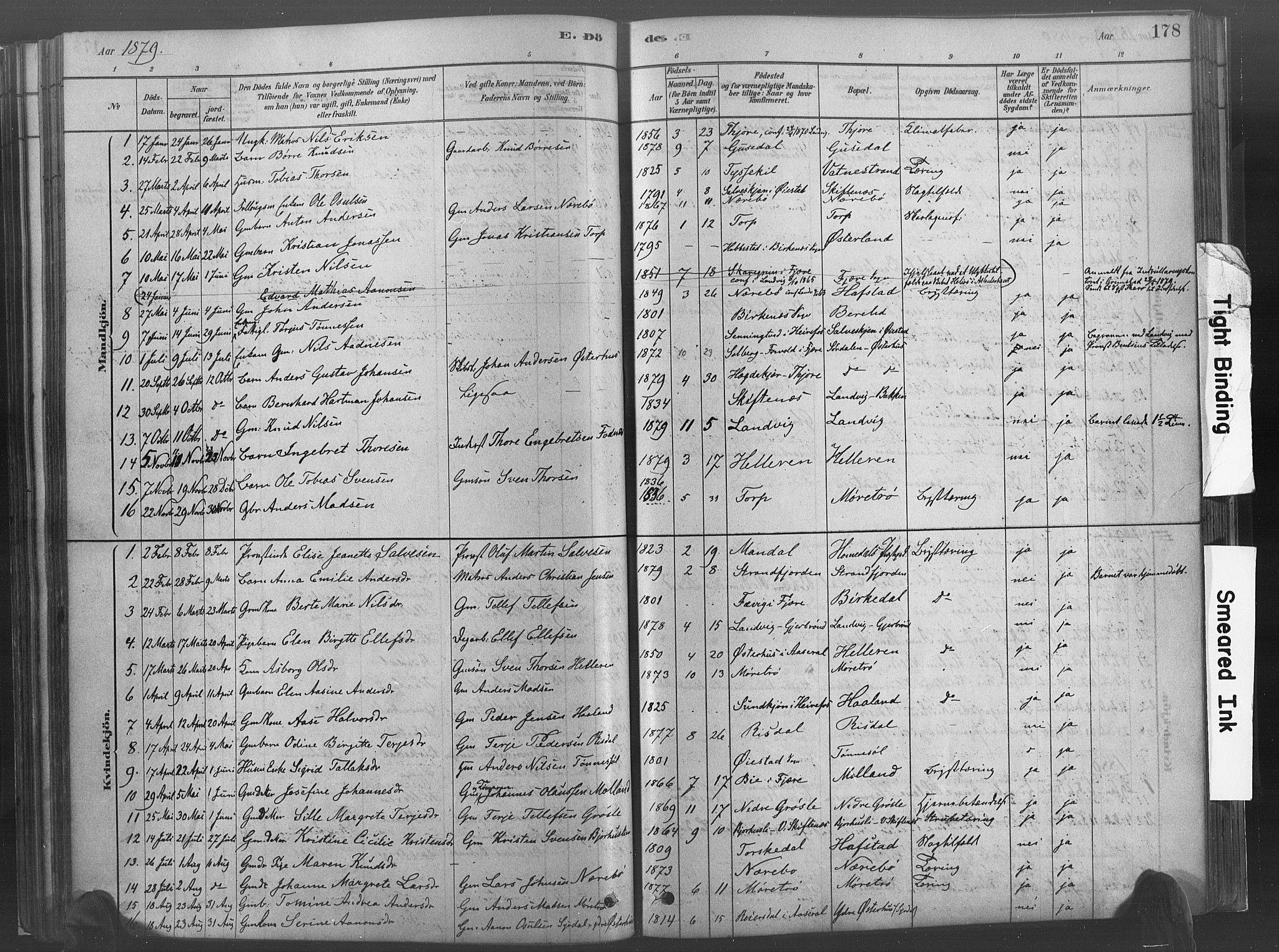 Hommedal sokneprestkontor, AV/SAK-1111-0023/F/Fa/Fab/L0006: Parish register (official) no. A 6, 1878-1897, p. 178