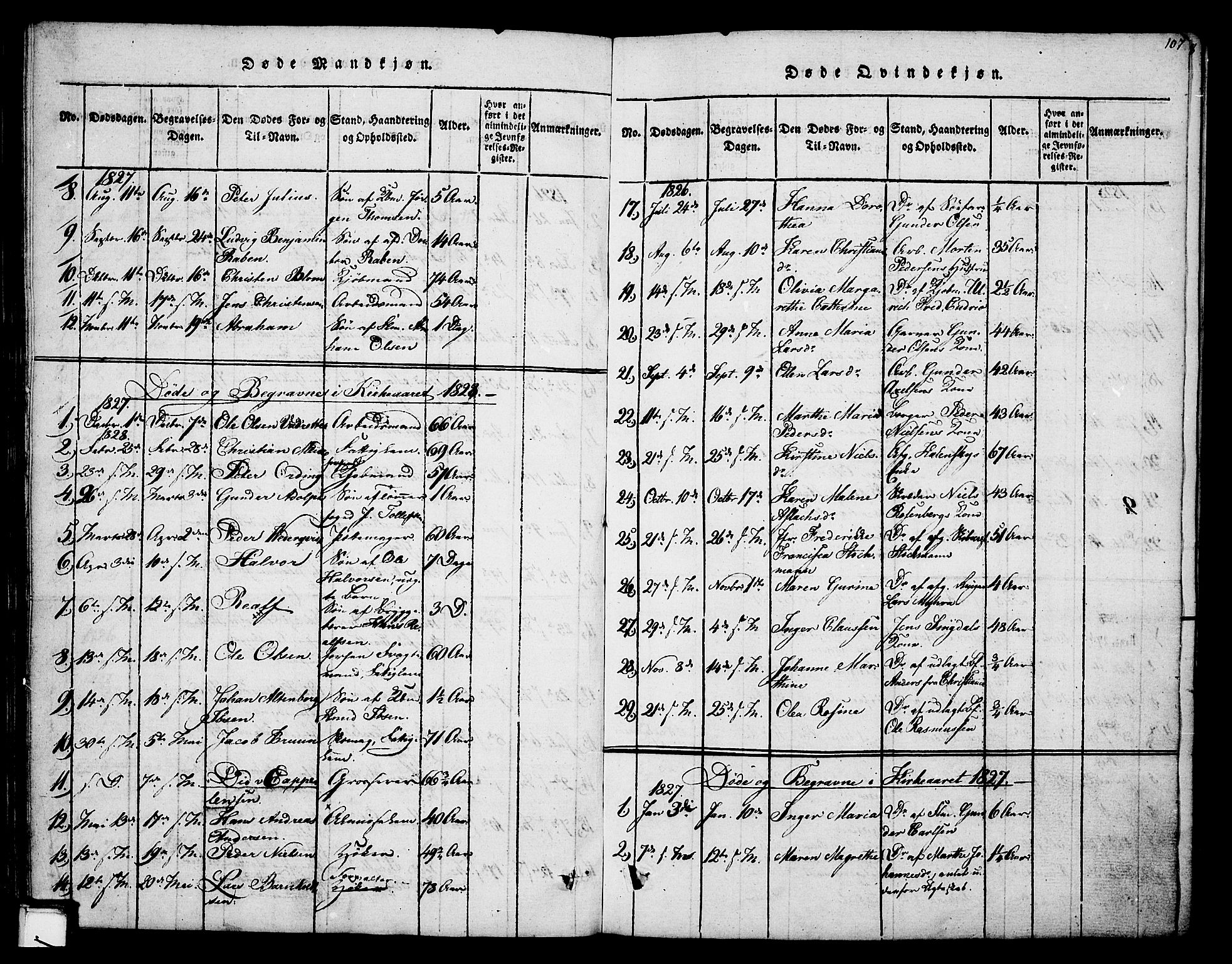 Skien kirkebøker, SAKO/A-302/F/Fa/L0005: Parish register (official) no. 5, 1814-1843, p. 107