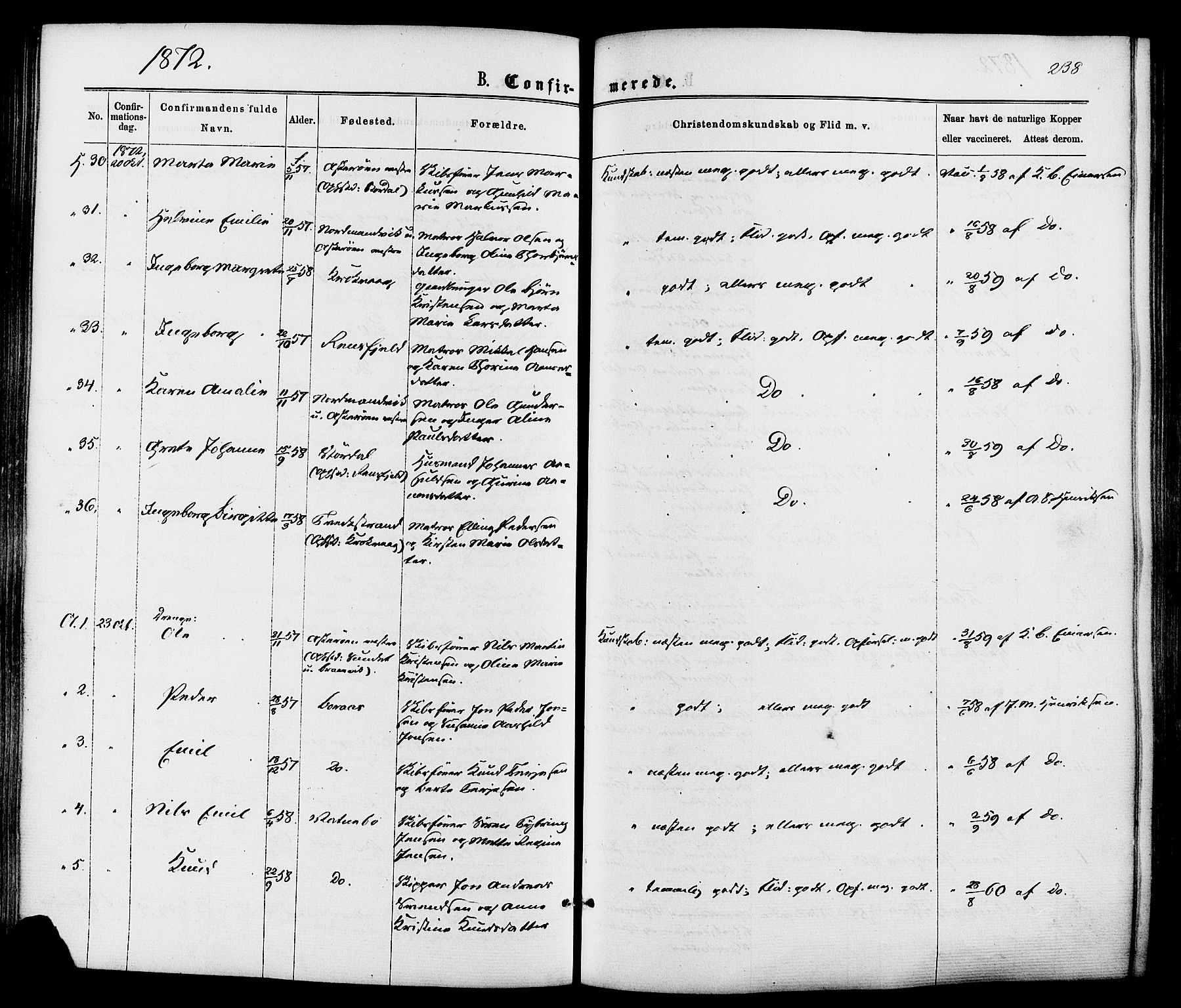 Dypvåg sokneprestkontor, AV/SAK-1111-0007/F/Fa/Faa/L0007: Parish register (official) no. A 7/ 1, 1872-1884, p. 238