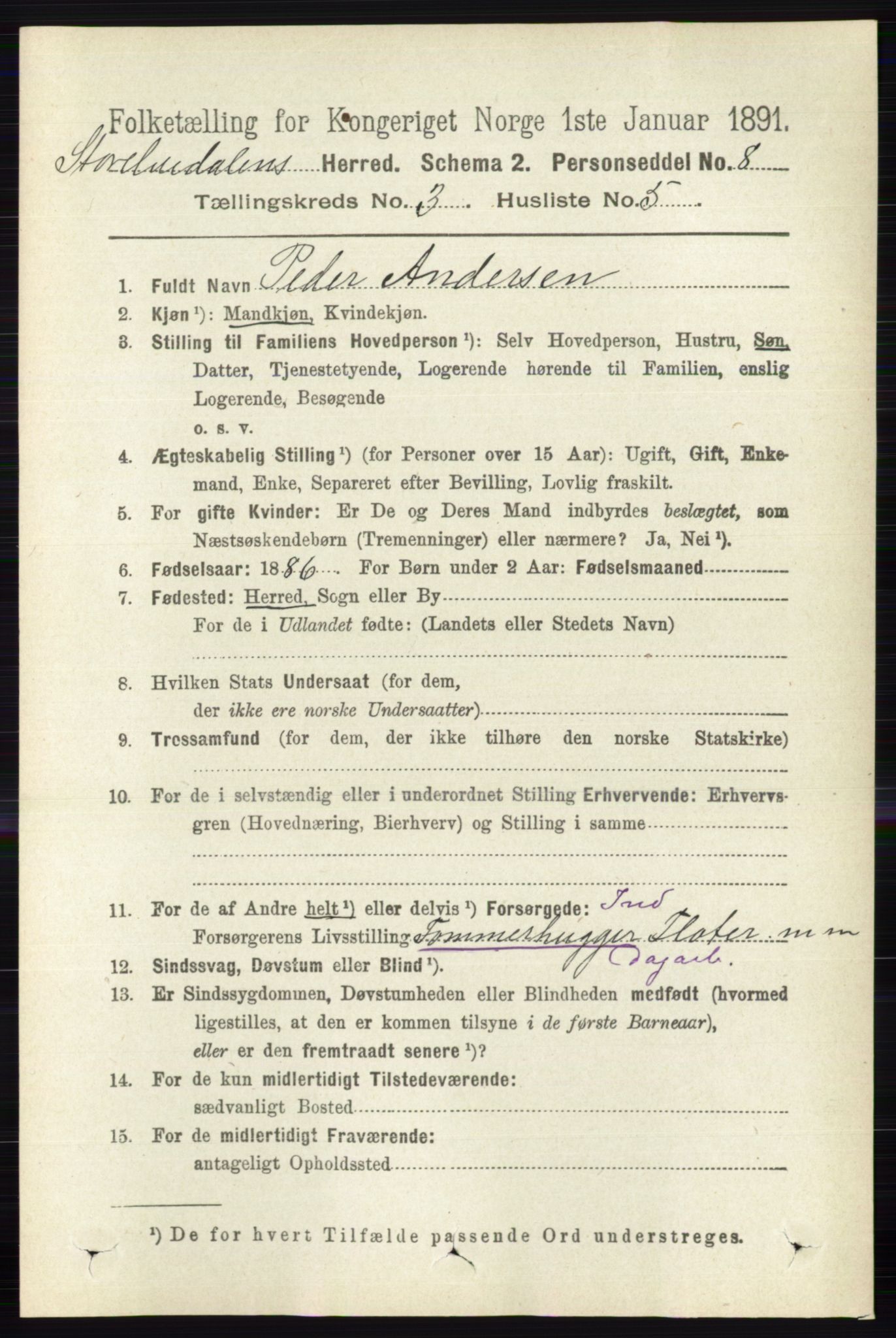 RA, 1891 census for 0430 Stor-Elvdal, 1891, p. 875