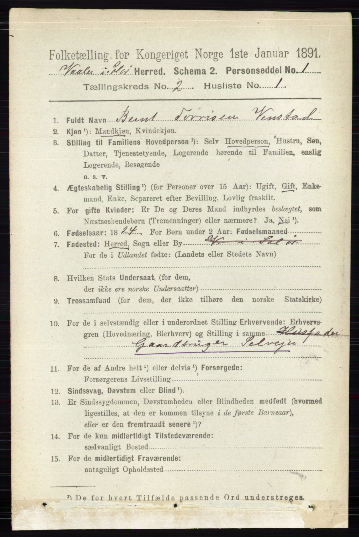 RA, 1891 census for 0426 Våler, 1891, p. 502