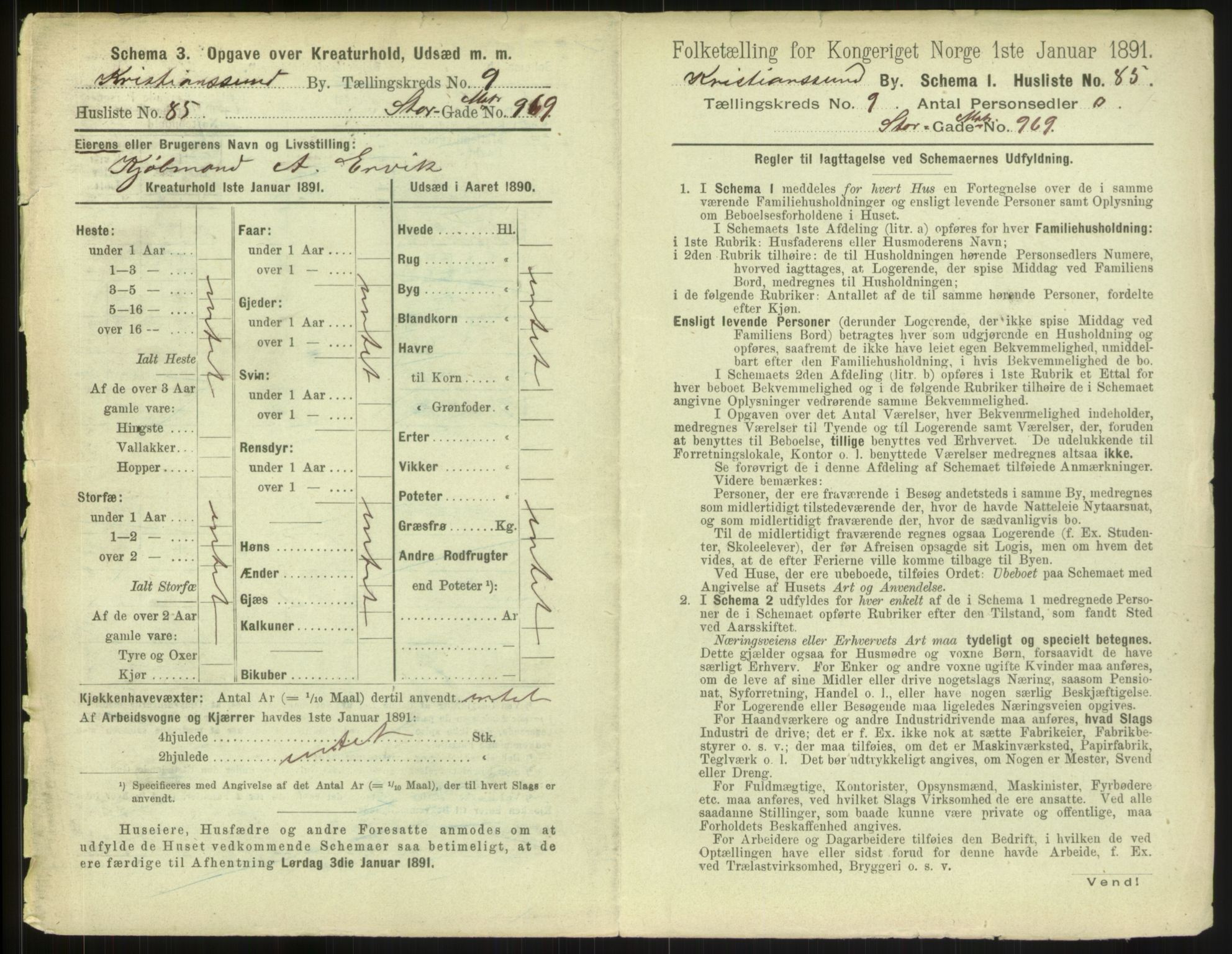 RA, 1891 census for 1503 Kristiansund, 1891, p. 1052