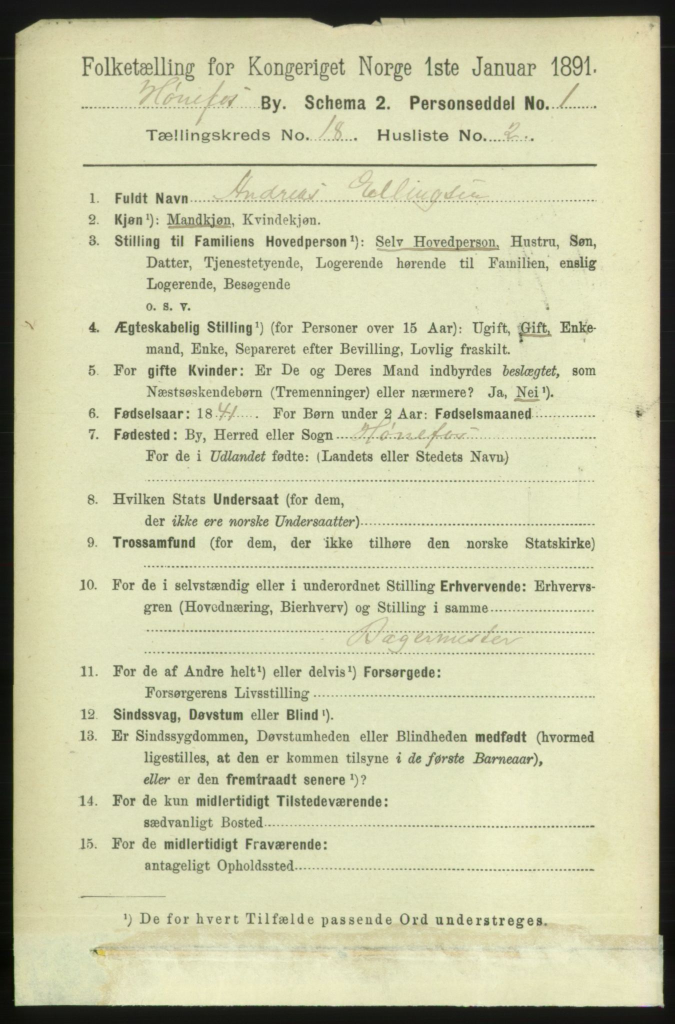 RA, 1891 census for 0601 Hønefoss, 1891, p. 1954