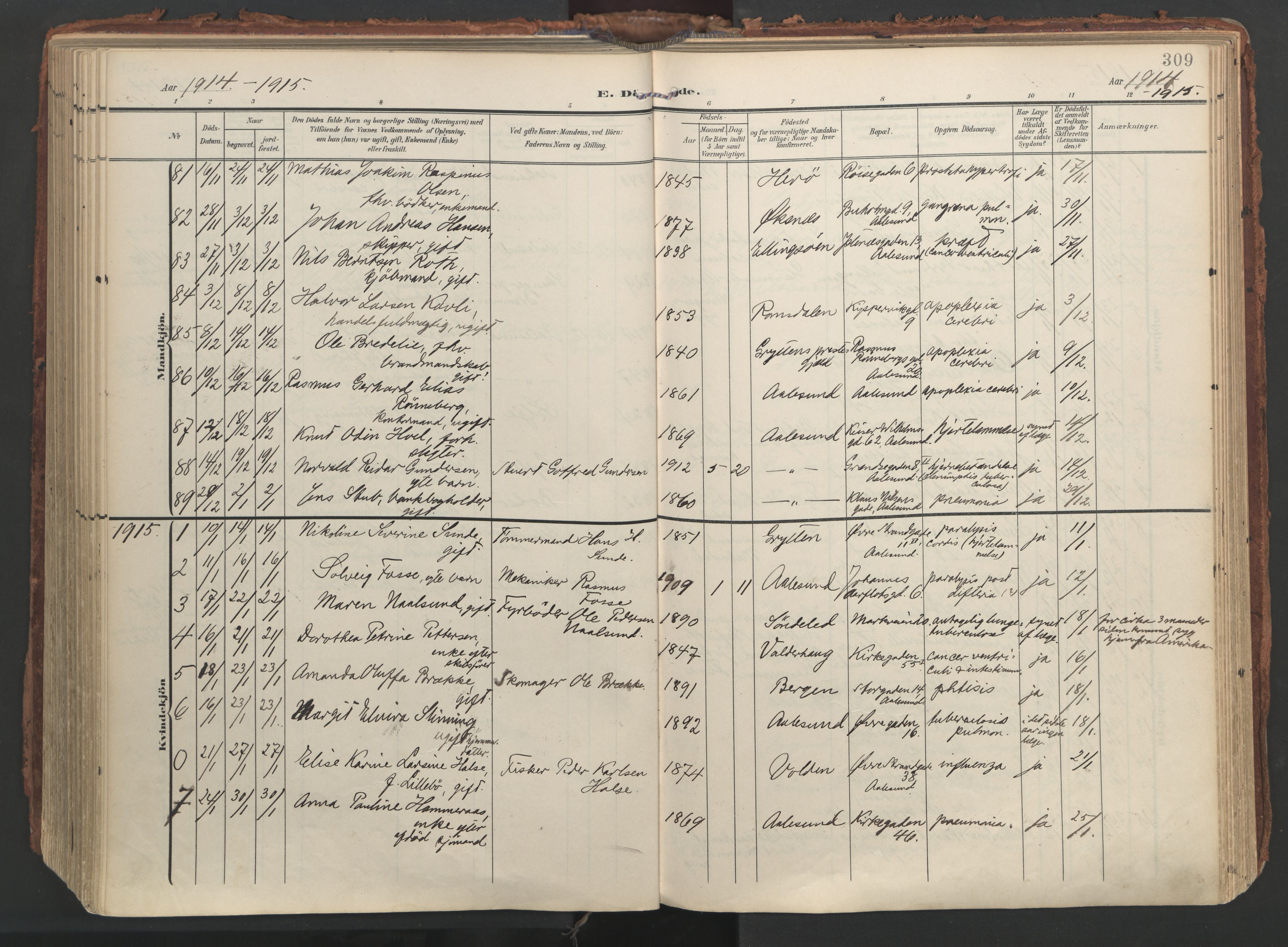 Ministerialprotokoller, klokkerbøker og fødselsregistre - Møre og Romsdal, SAT/A-1454/529/L0459: Parish register (official) no. 529A09, 1904-1917, p. 309