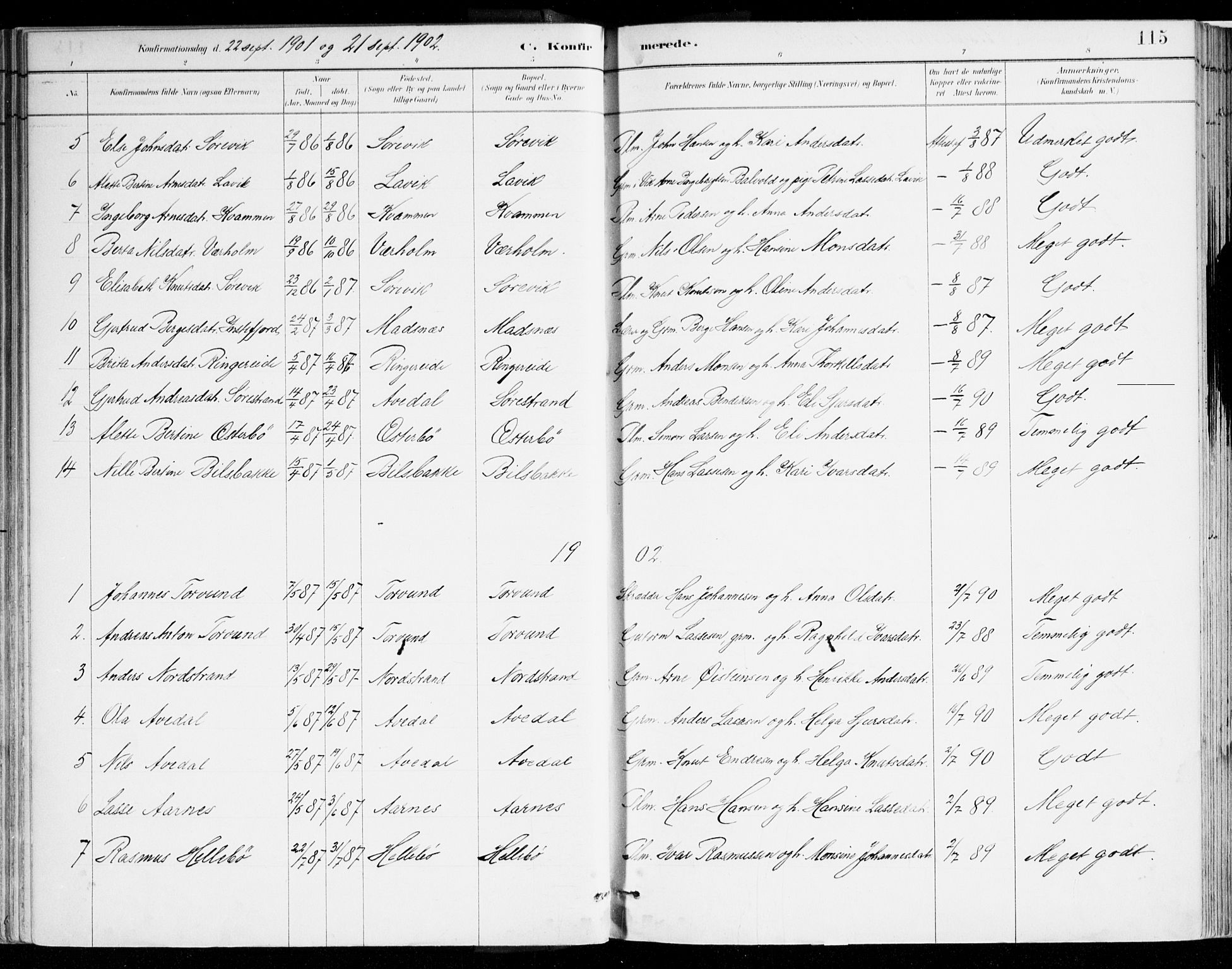 Lavik sokneprestembete, AV/SAB-A-80901: Parish register (official) no. B 1, 1882-1908, p. 115