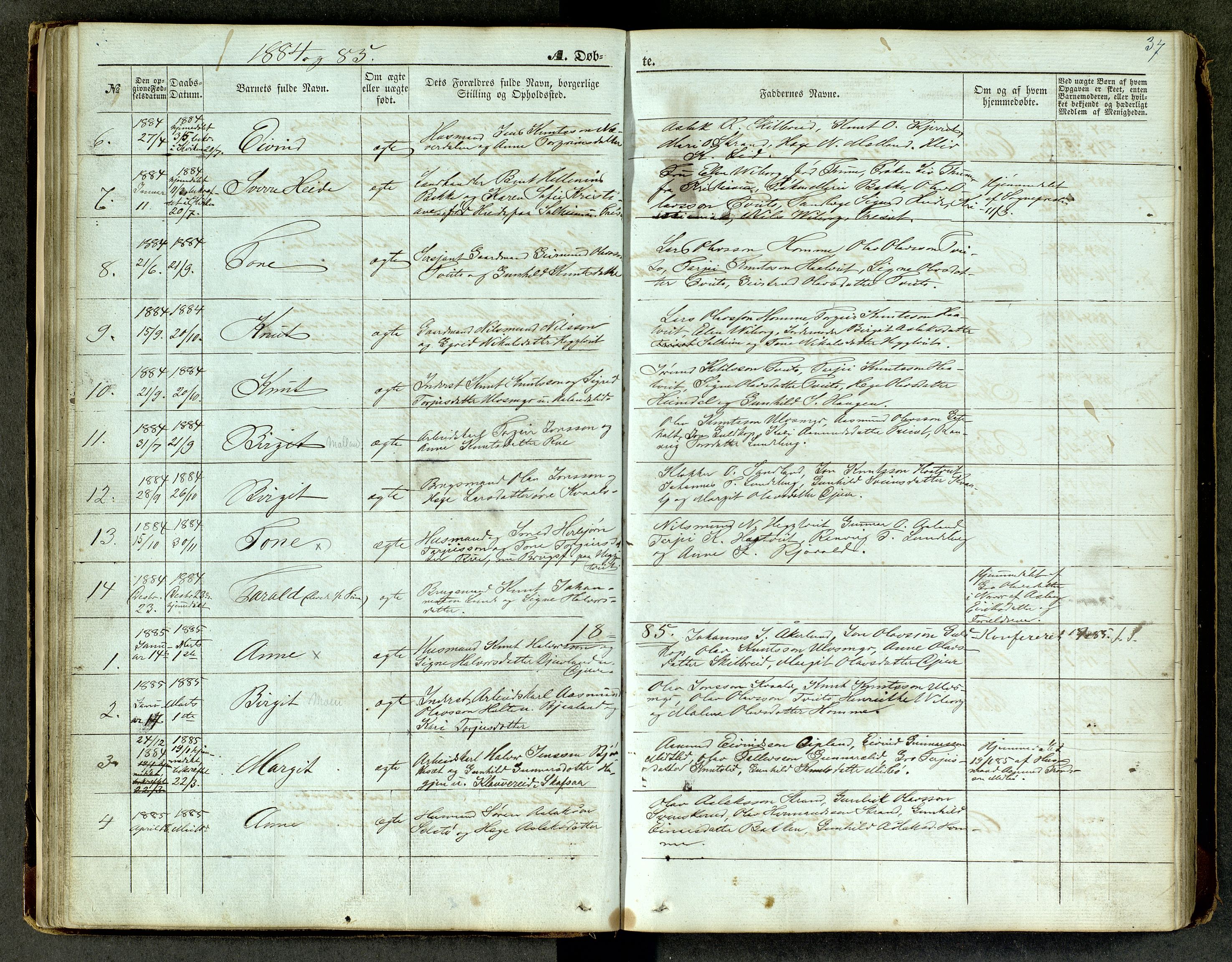 Lårdal kirkebøker, AV/SAKO-A-284/G/Ga/L0002: Parish register (copy) no. I 2, 1861-1890, p. 37