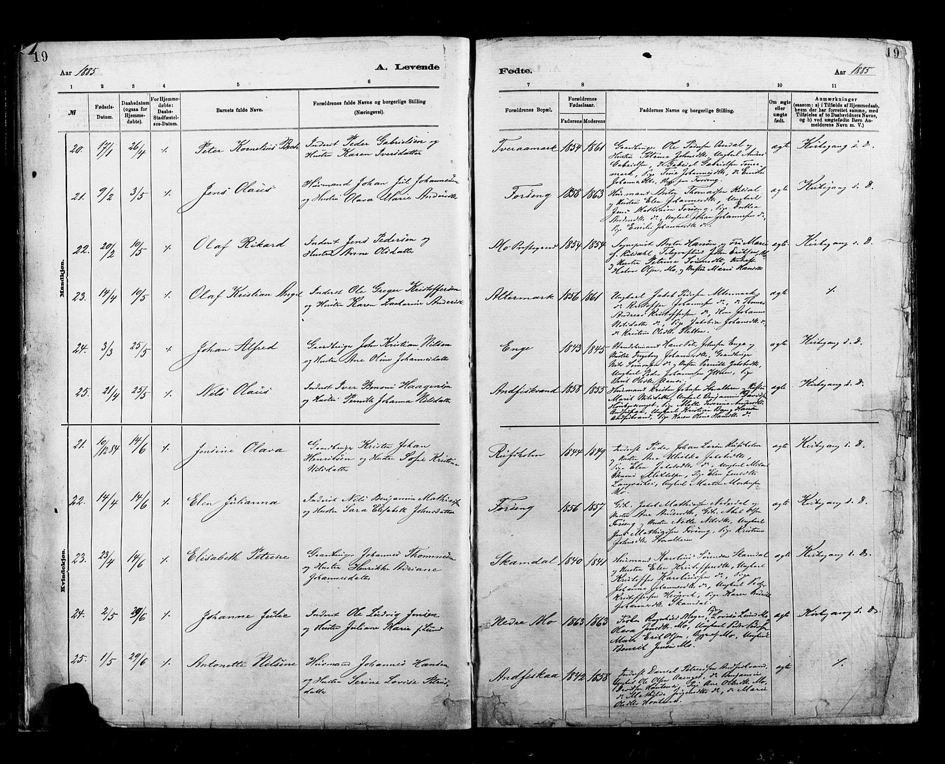 Ministerialprotokoller, klokkerbøker og fødselsregistre - Nordland, SAT/A-1459/827/L0400: Parish register (official) no. 827A12, 1883-1903, p. 19