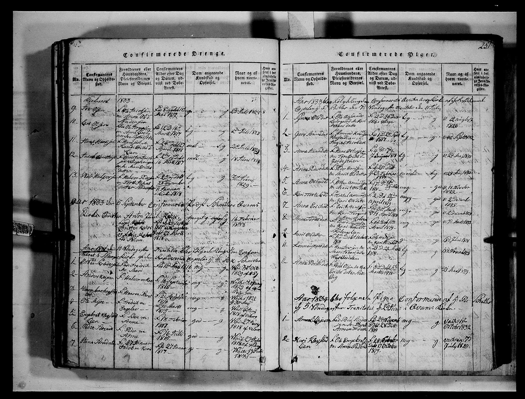Fron prestekontor, SAH/PREST-078/H/Ha/Hab/L0002: Parish register (copy) no. 2, 1816-1850, p. 251