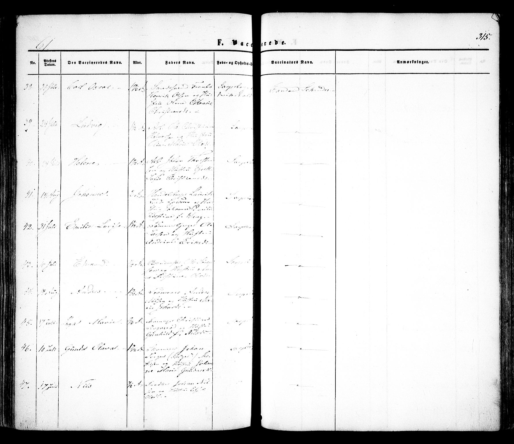 Sarpsborg prestekontor Kirkebøker, AV/SAO-A-2006/F/Fa/L0001: Parish register (official) no. 1, 1859-1868, p. 315