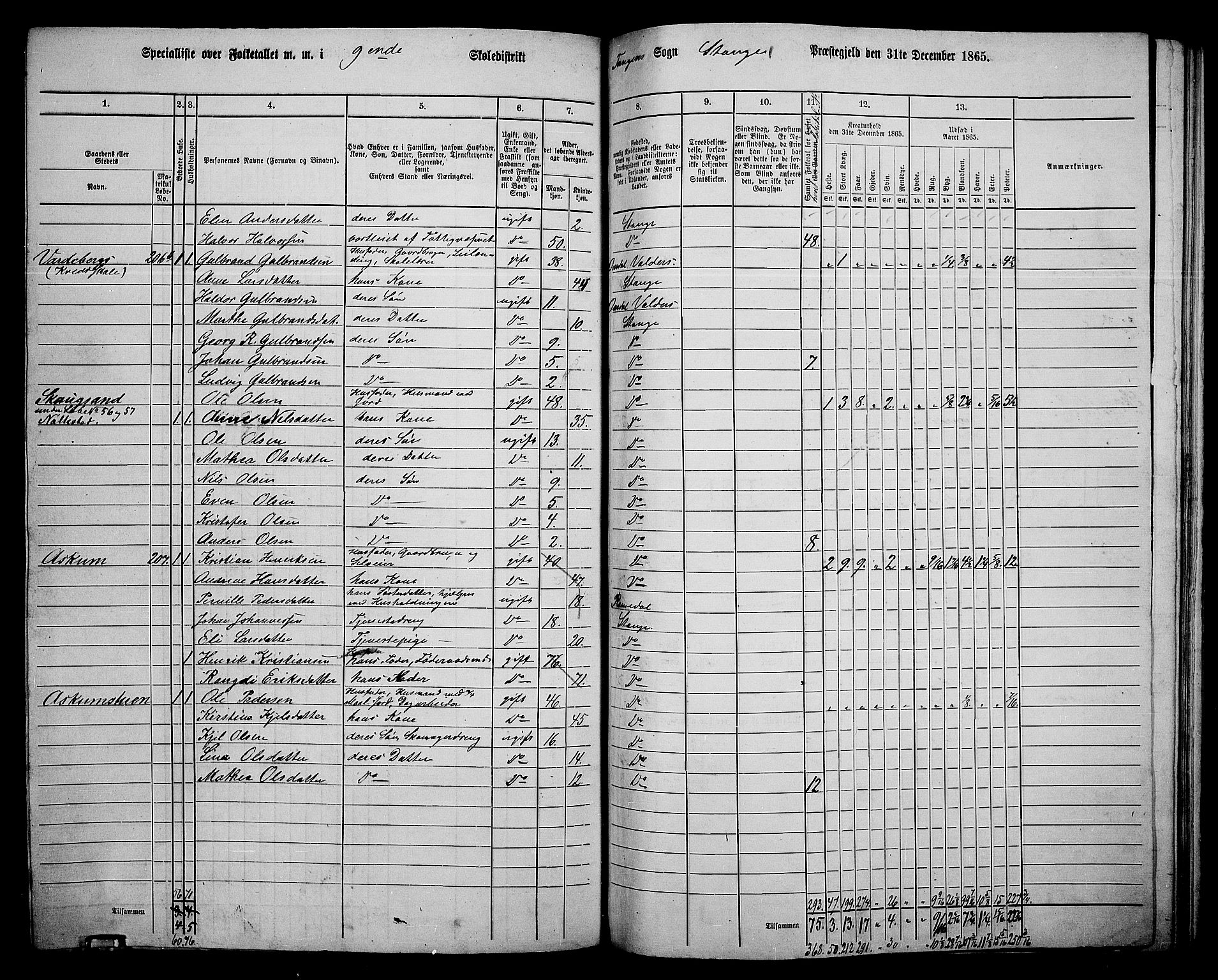 RA, 1865 census for Stange, 1865, p. 206