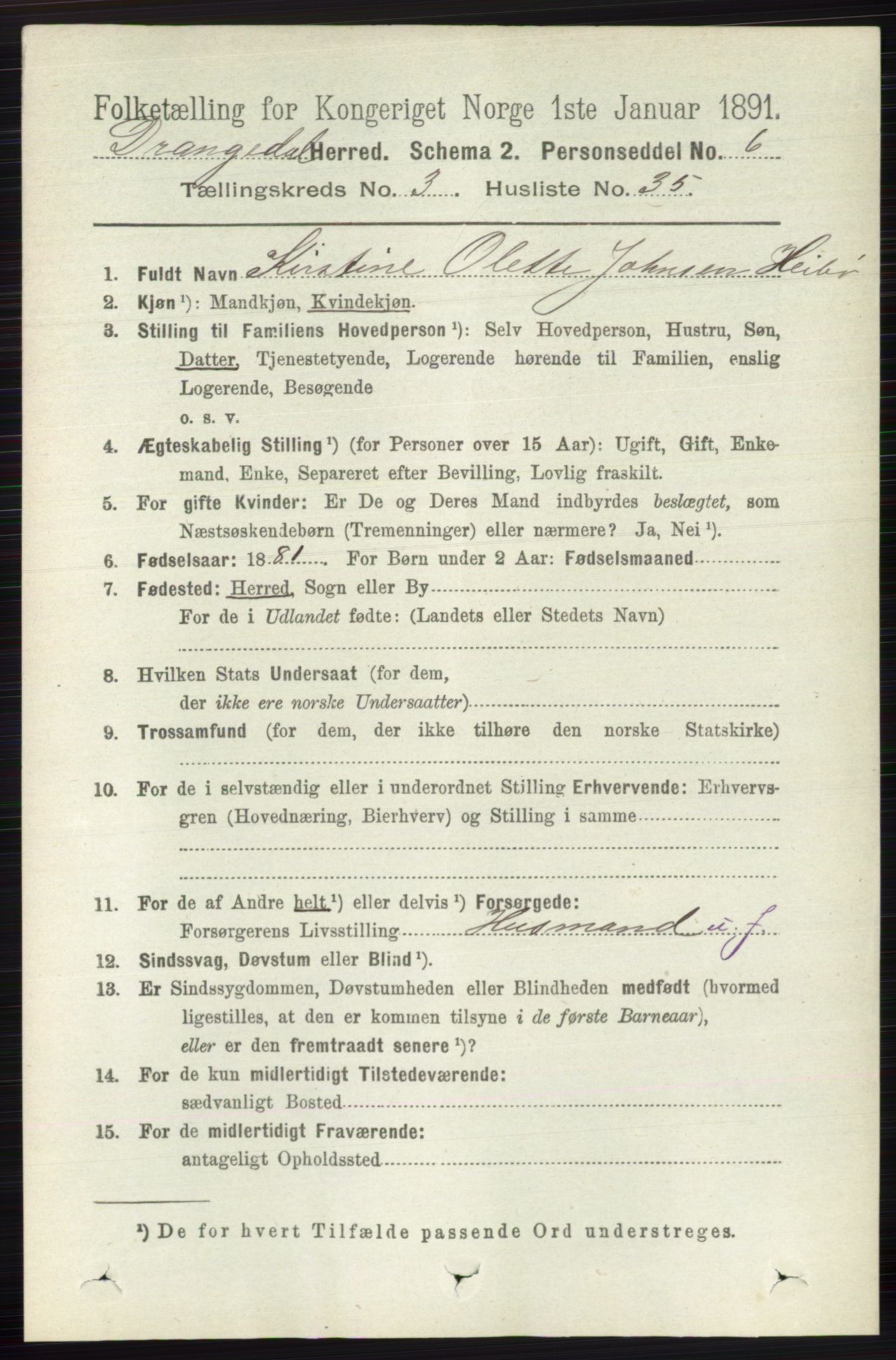 RA, 1891 census for 0817 Drangedal, 1891, p. 1085