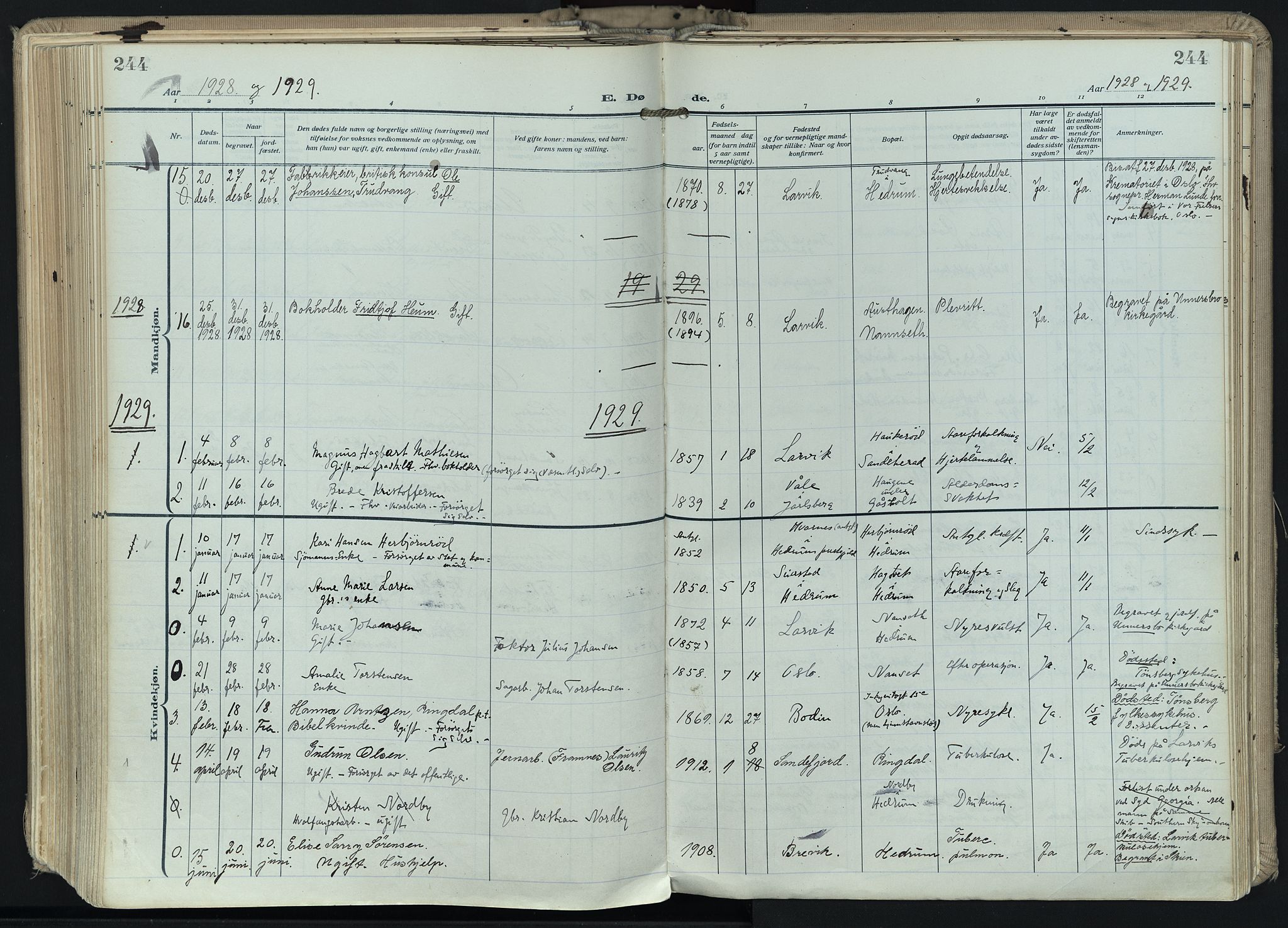 Hedrum kirkebøker, SAKO/A-344/F/Fa/L0011: Parish register (official) no. I 11, 1919-1933, p. 244