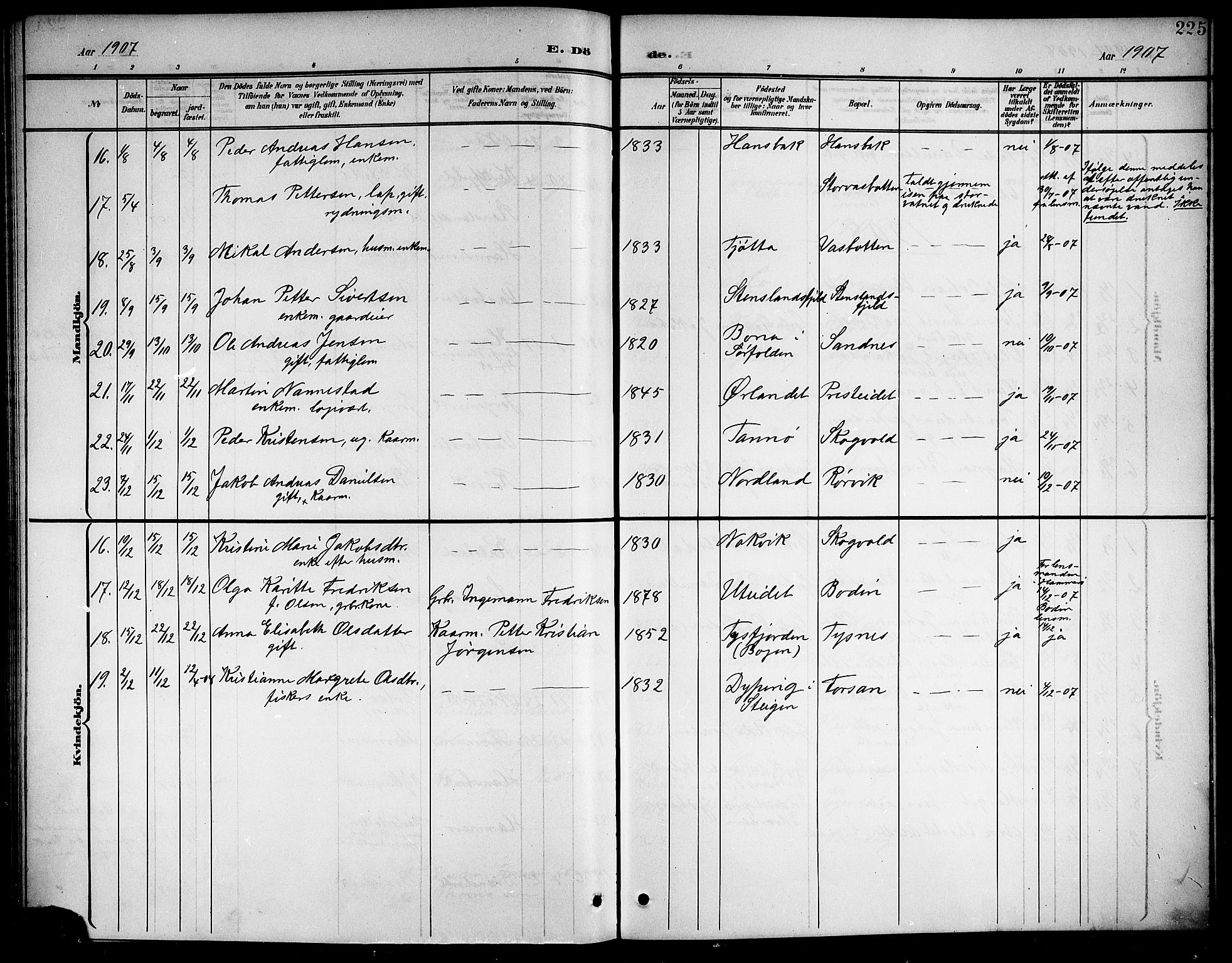 Ministerialprotokoller, klokkerbøker og fødselsregistre - Nordland, AV/SAT-A-1459/859/L0860: Parish register (copy) no. 859C06, 1899-1909, p. 225