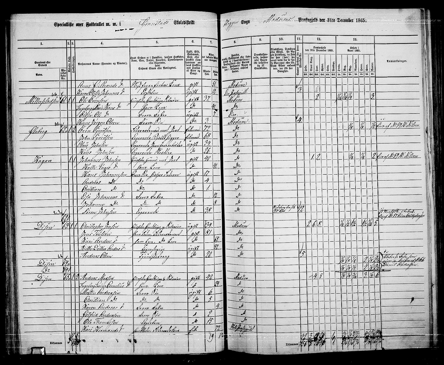 RA, 1865 census for Modum, 1865, p. 55