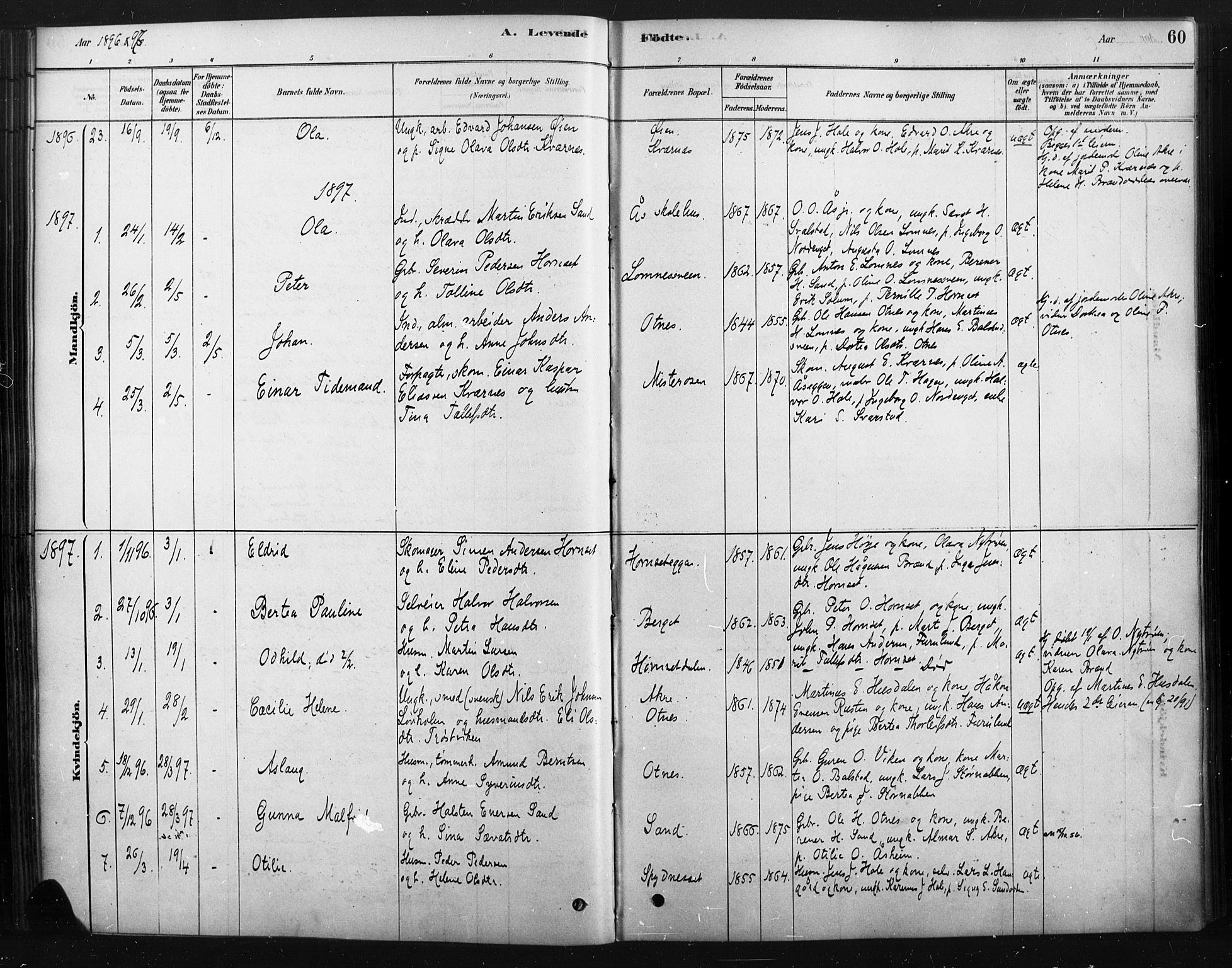 Rendalen prestekontor, AV/SAH-PREST-054/H/Ha/Haa/L0010: Parish register (official) no. 10, 1878-1901, p. 60