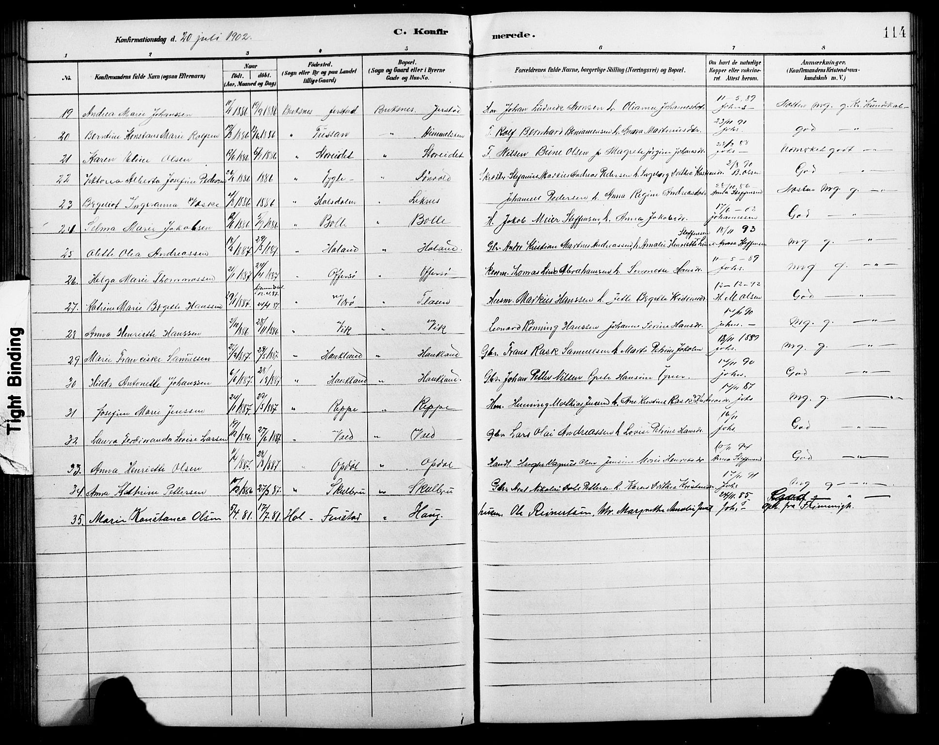 Ministerialprotokoller, klokkerbøker og fødselsregistre - Nordland, AV/SAT-A-1459/881/L1168: Parish register (copy) no. 881C05, 1900-1911, p. 114