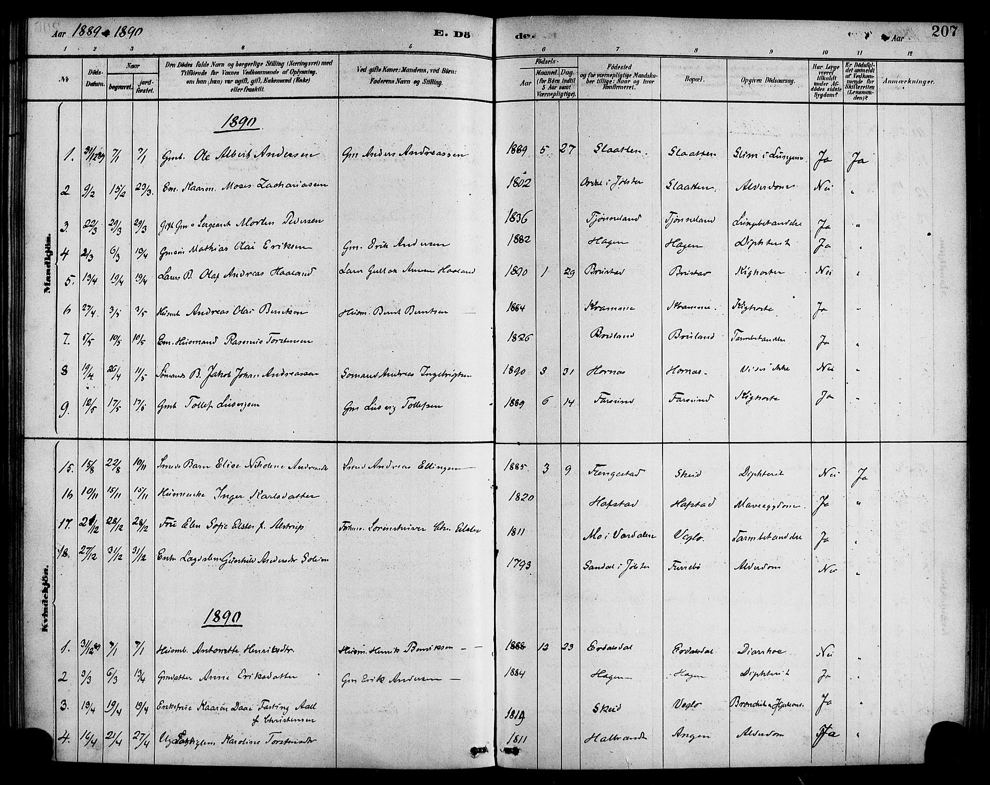 Førde sokneprestembete, SAB/A-79901/H/Haa/Haab/L0001: Parish register (official) no. B 1, 1880-1898, p. 207