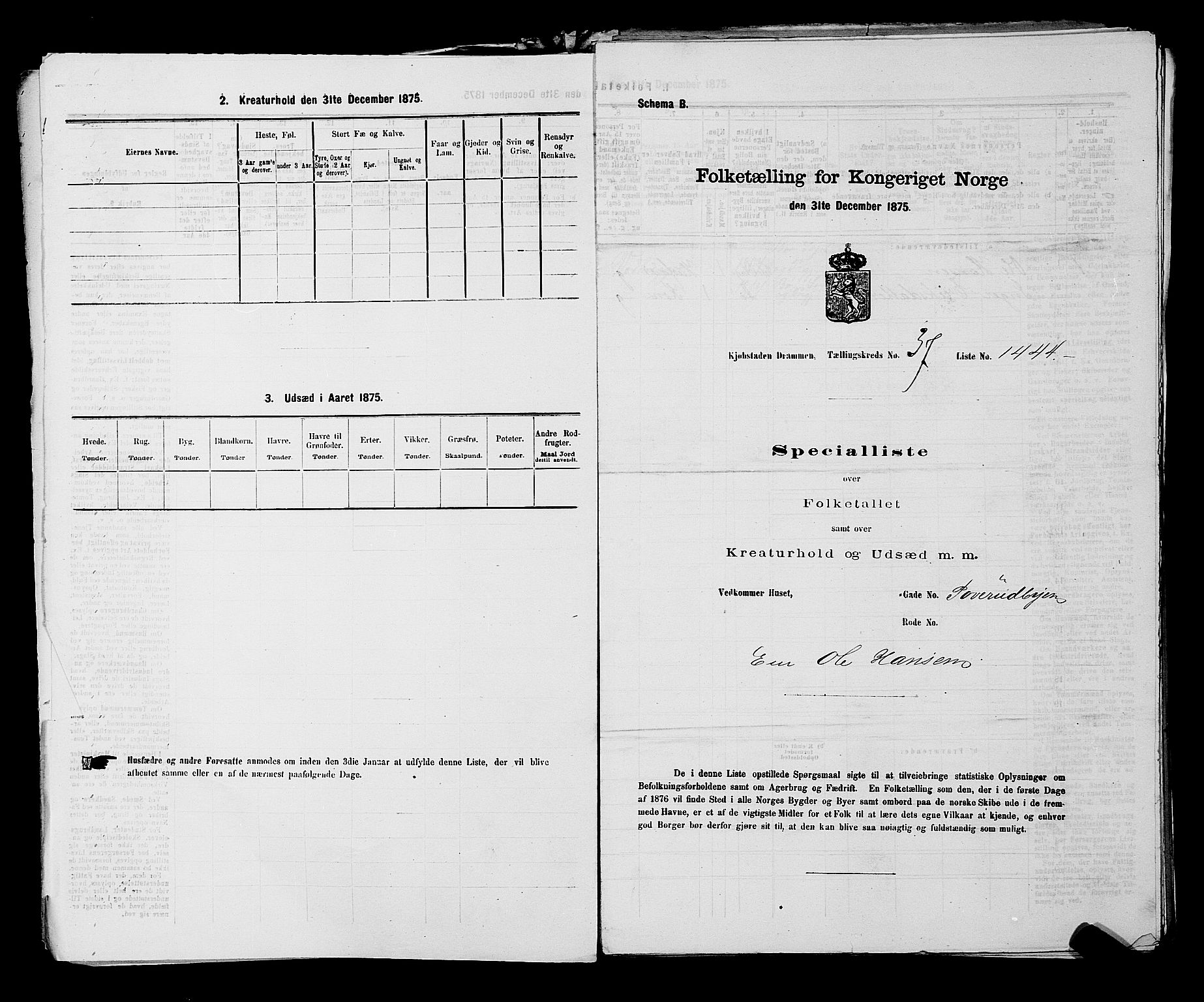 SAKO, 1875 census for 0602 Drammen, 1875, p. 3129