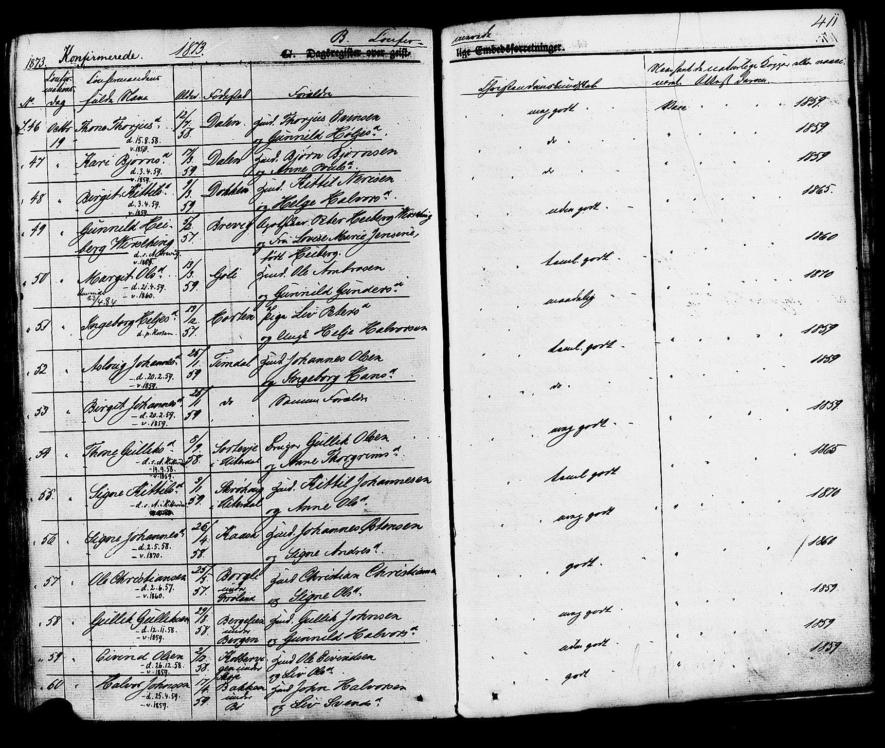 Hjartdal kirkebøker, AV/SAKO-A-270/F/Fa/L0009: Parish register (official) no. I 9, 1860-1879, p. 411