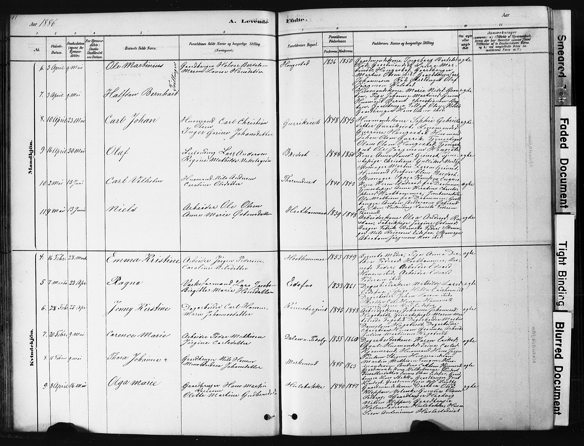 Hof kirkebøker, AV/SAKO-A-64/G/Ga/L0004: Parish register (copy) no. I 4, 1878-1930, p. 51