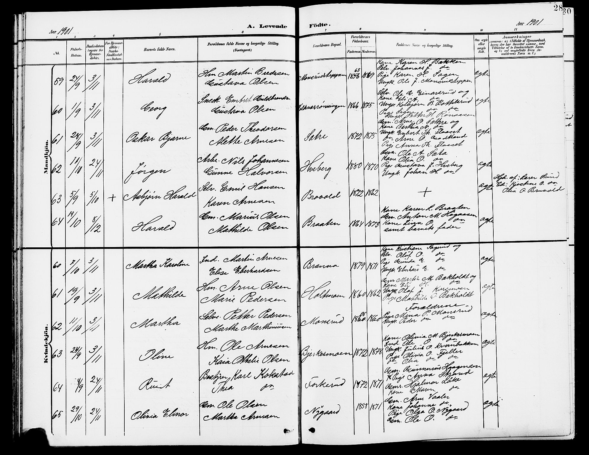 Grue prestekontor, AV/SAH-PREST-036/H/Ha/Hab/L0005: Parish register (copy) no. 5, 1900-1909, p. 28
