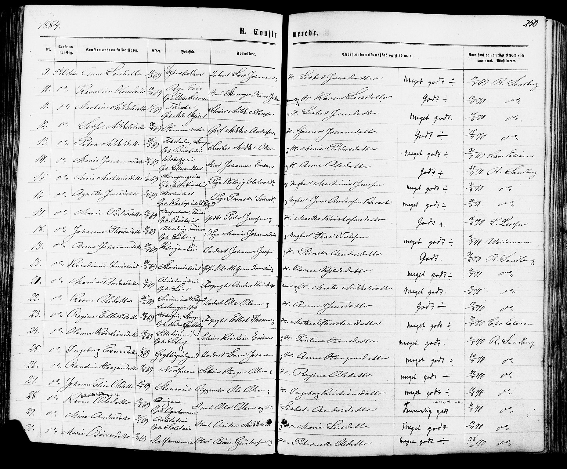 Vang prestekontor, Hedmark, AV/SAH-PREST-008/H/Ha/Haa/L0015: Parish register (official) no. 15, 1871-1885, p. 250