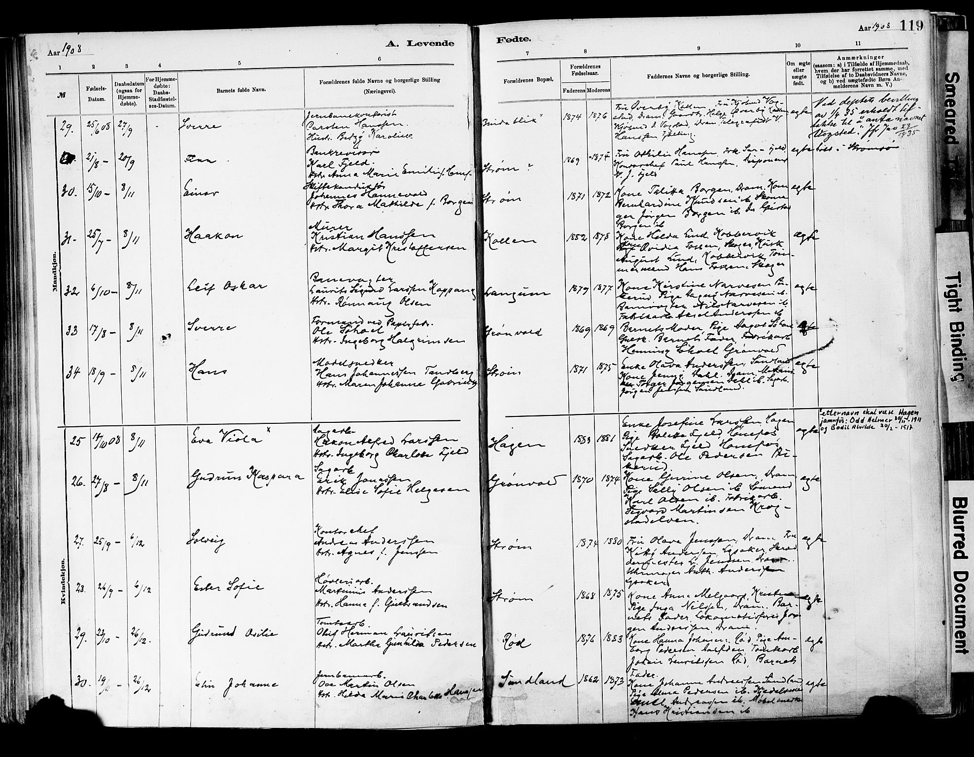 Strømsgodset kirkebøker, AV/SAKO-A-324/F/Fa/L0001: Parish register (official) no. 1, 1885-1909, p. 119