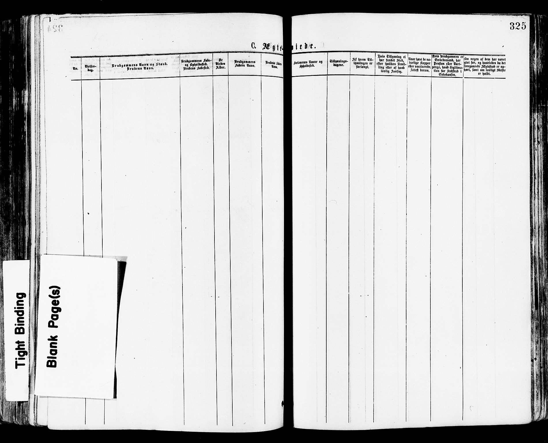 Tønsberg kirkebøker, AV/SAKO-A-330/F/Fa/L0010: Parish register (official) no. I 10, 1874-1880, p. 325