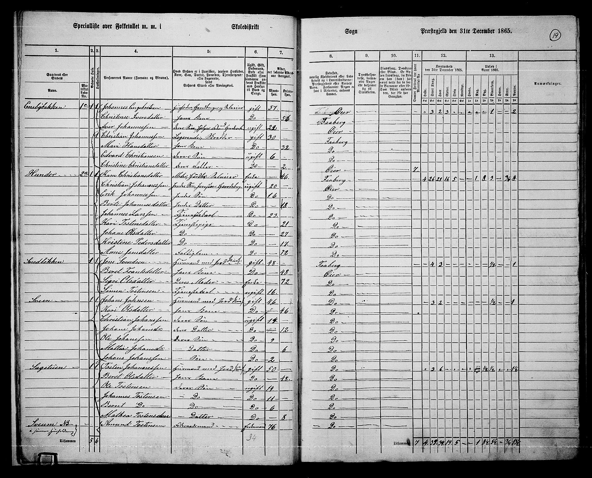 RA, 1865 census for Øyer, 1865, p. 16