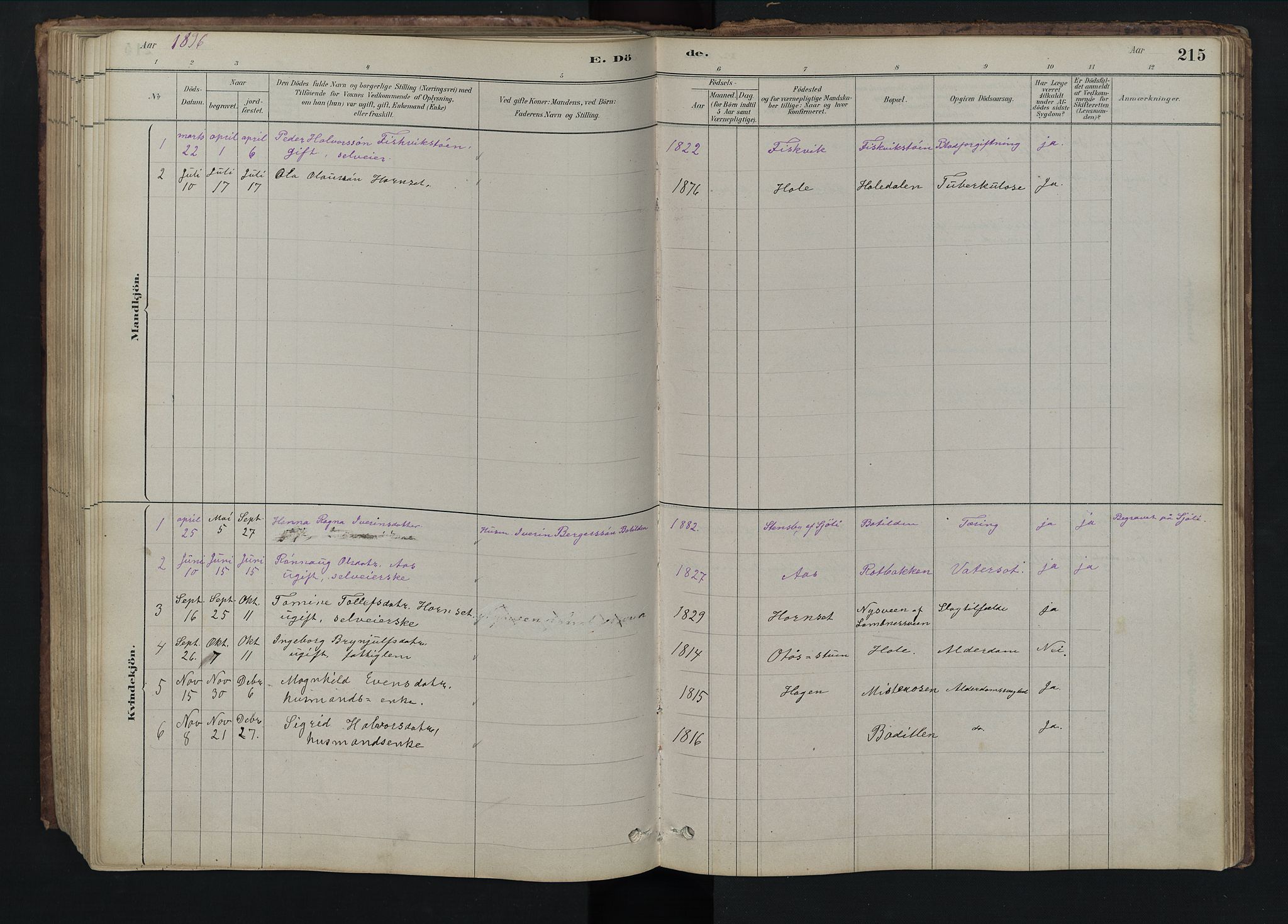 Rendalen prestekontor, SAH/PREST-054/H/Ha/Hab/L0009: Parish register (copy) no. 9, 1879-1902, p. 215