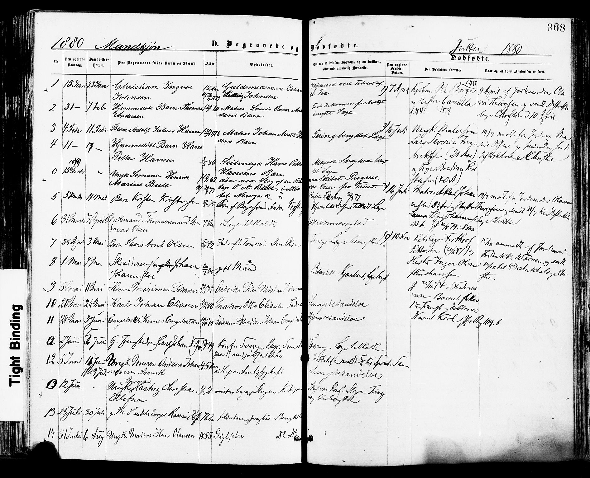 Tønsberg kirkebøker, SAKO/A-330/F/Fa/L0010: Parish register (official) no. I 10, 1874-1880, p. 368